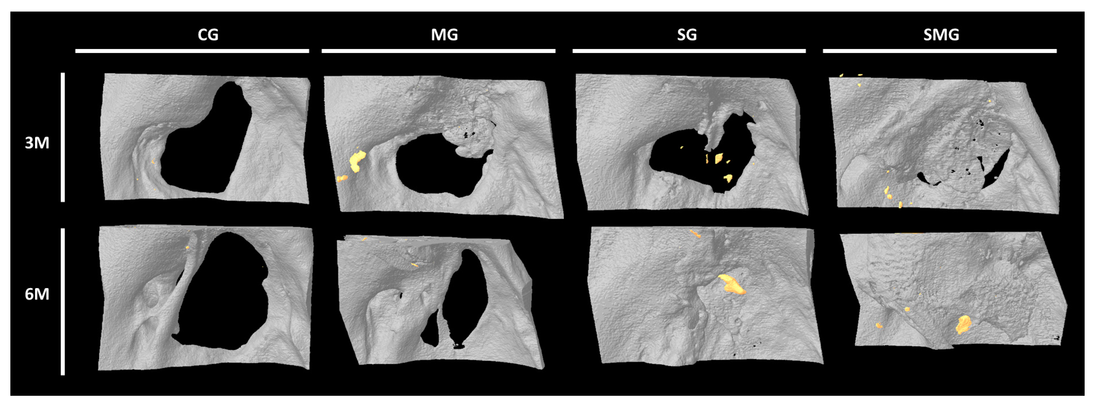 Biomedicines 12 01049 g011