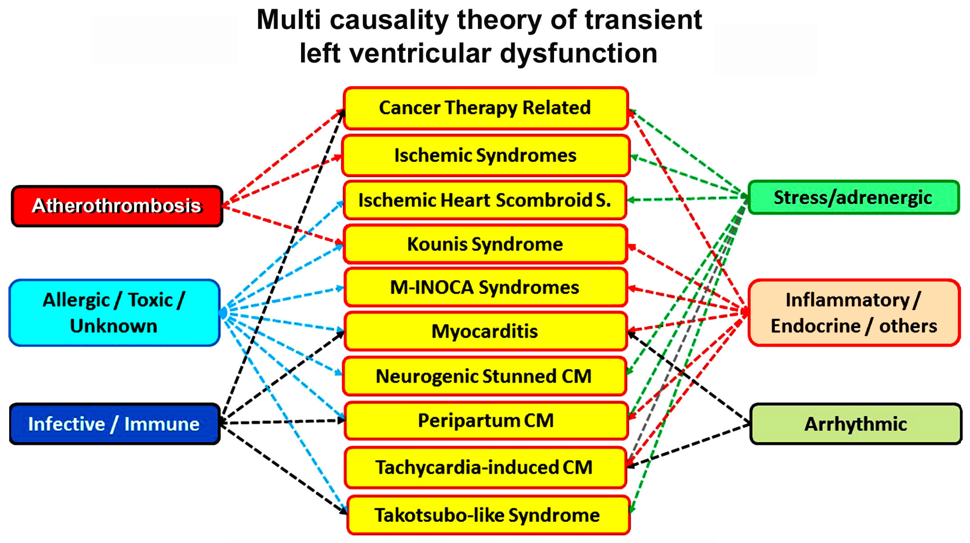 Biomedicines 12 01051 g001 Biomedicines 12 01051 g001