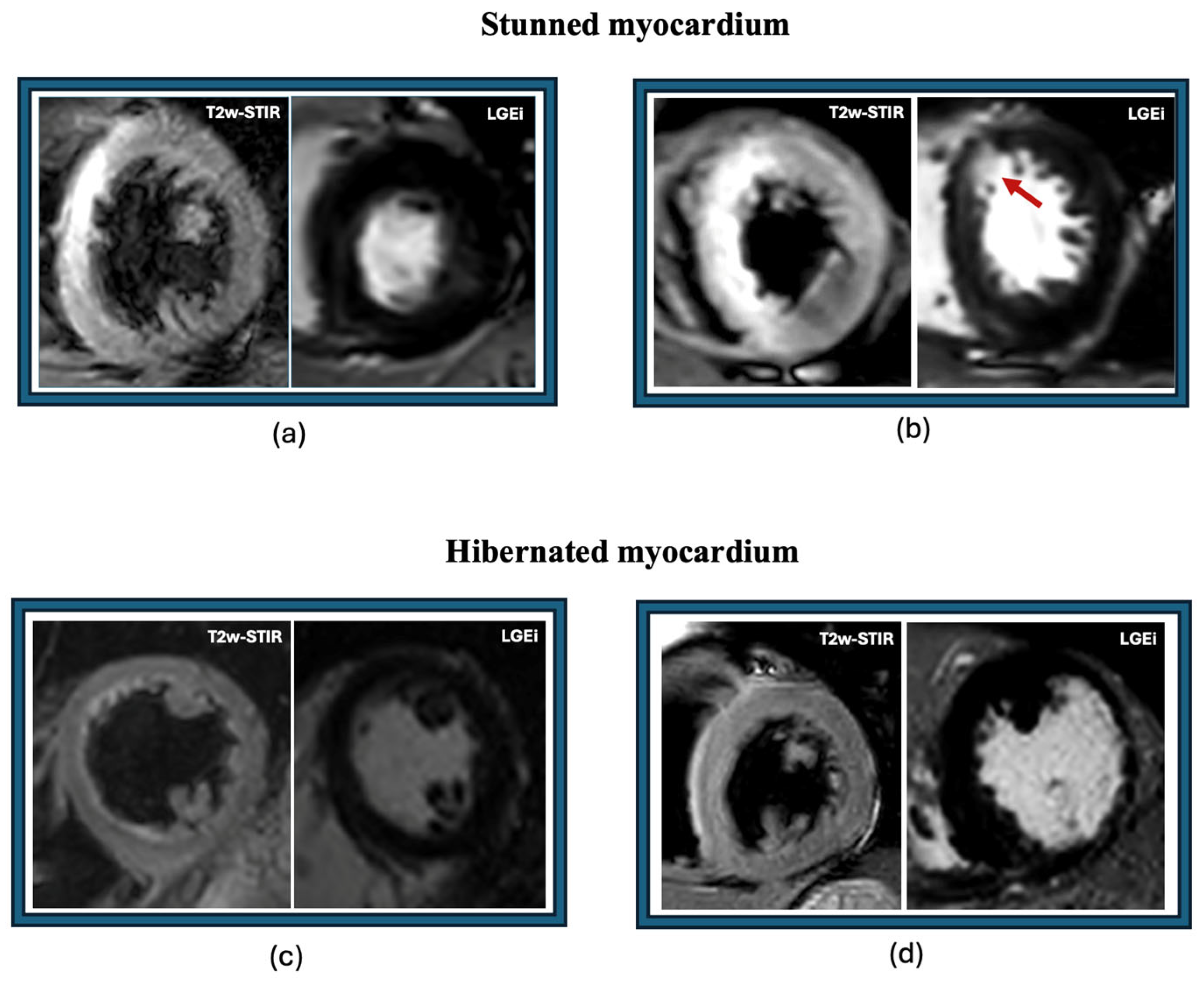 Biomedicines 12 01051 g002 Biomedicines 12 01051 g002