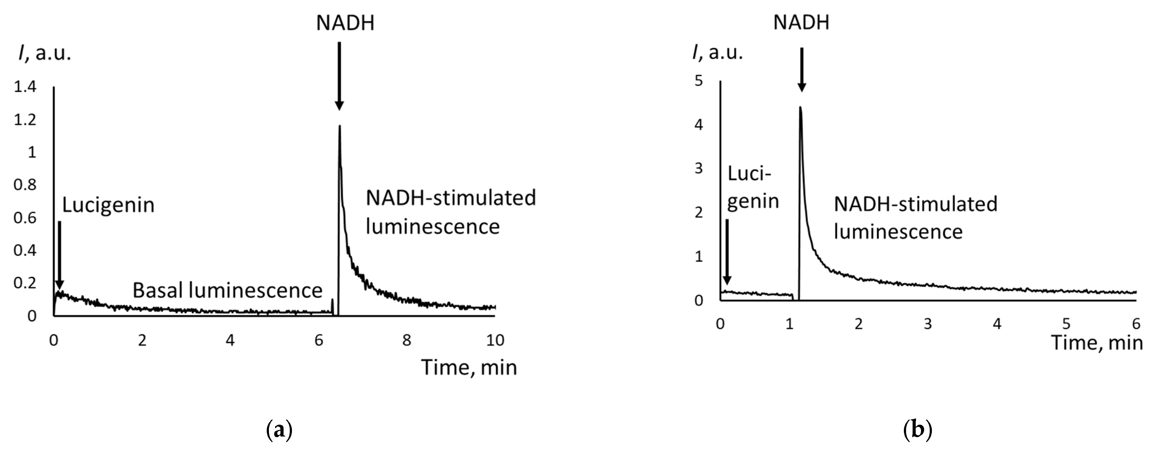 Biomedicines 12 01052 g004