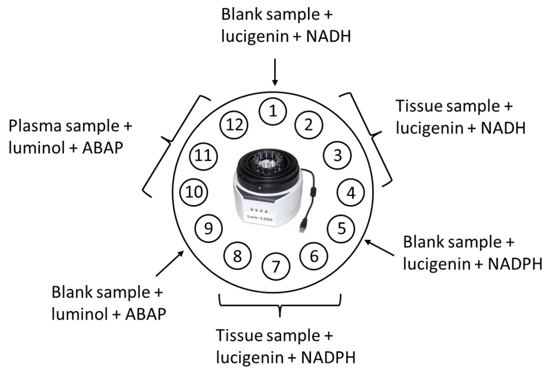 Biomedicines 12 01052 g005