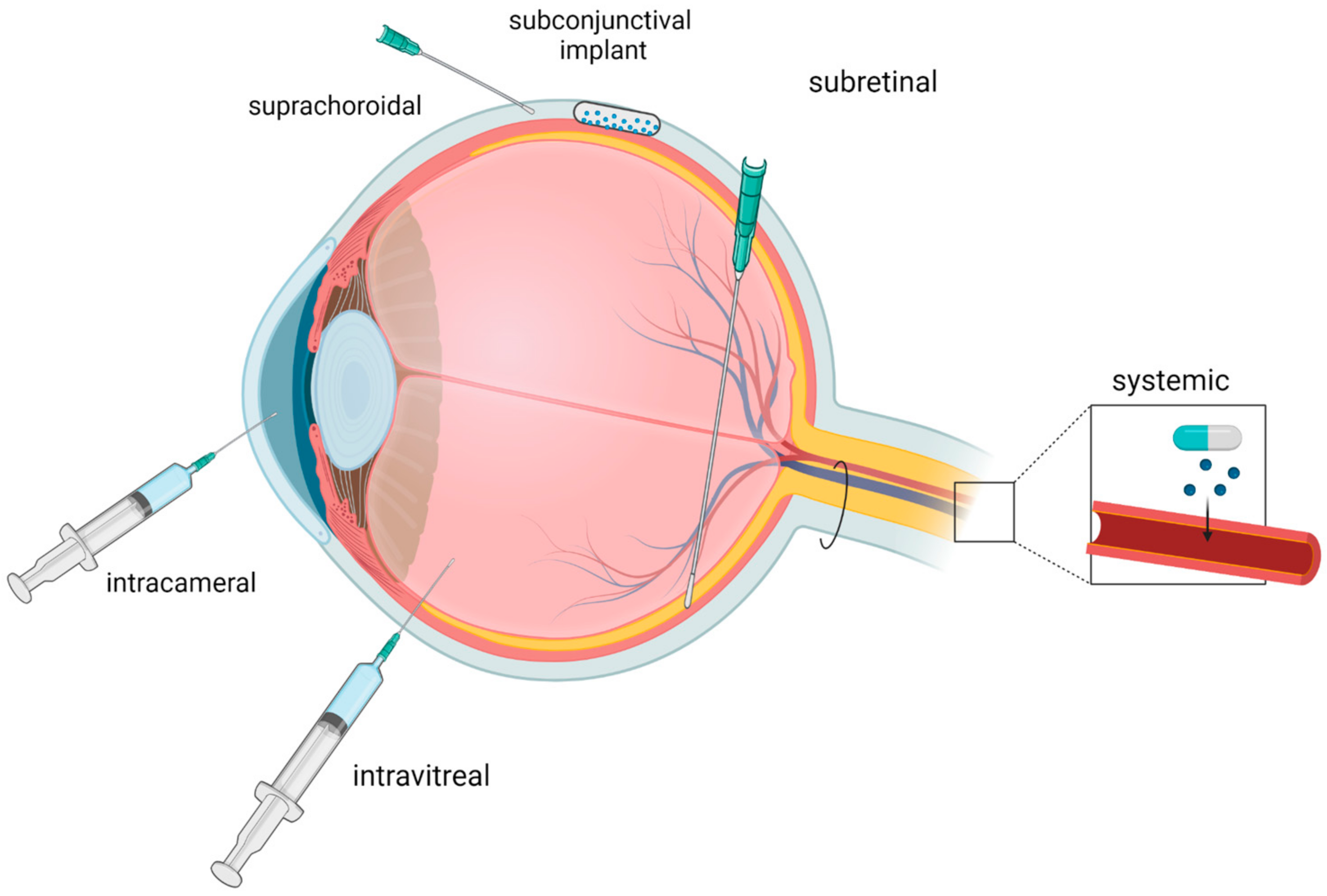 Biomedicines 12 01055 g003 Biomedicines 12 01055 g003