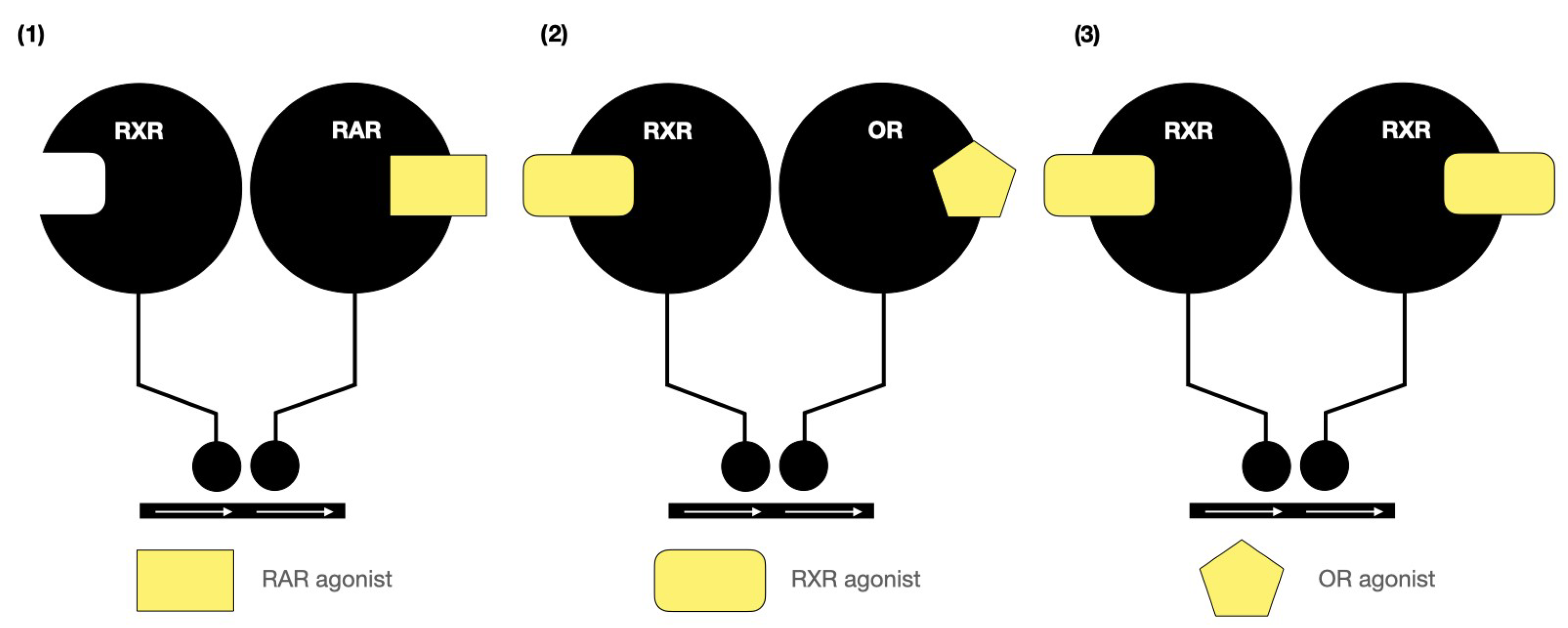 Biomedicines 12 01059 g003 Biomedicines 12 01059 g003