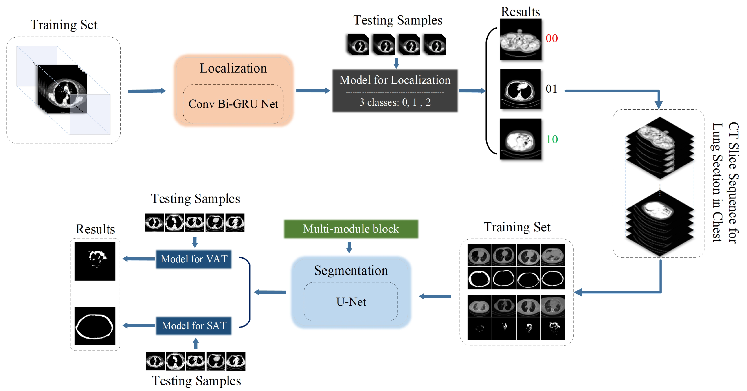Biomedicines 12 01061 g001