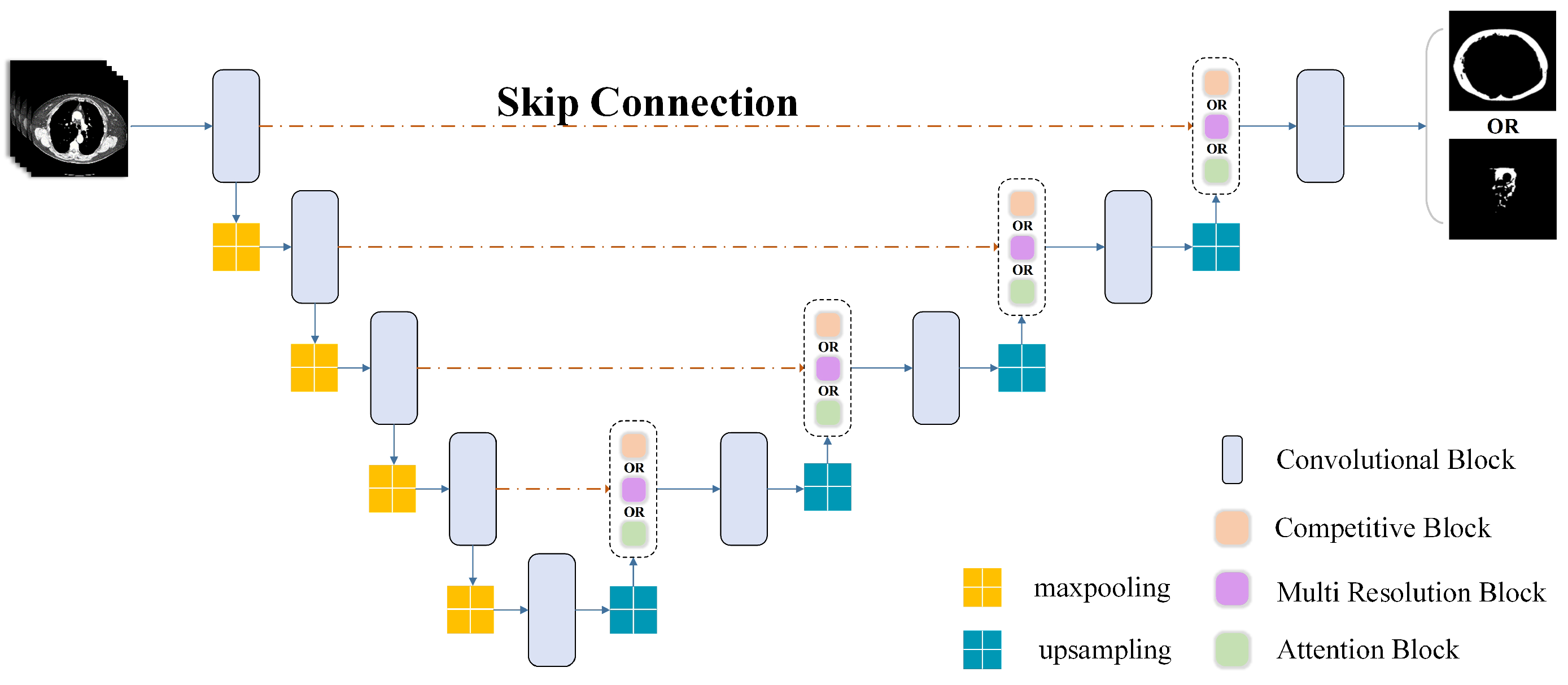 Biomedicines 12 01061 g004