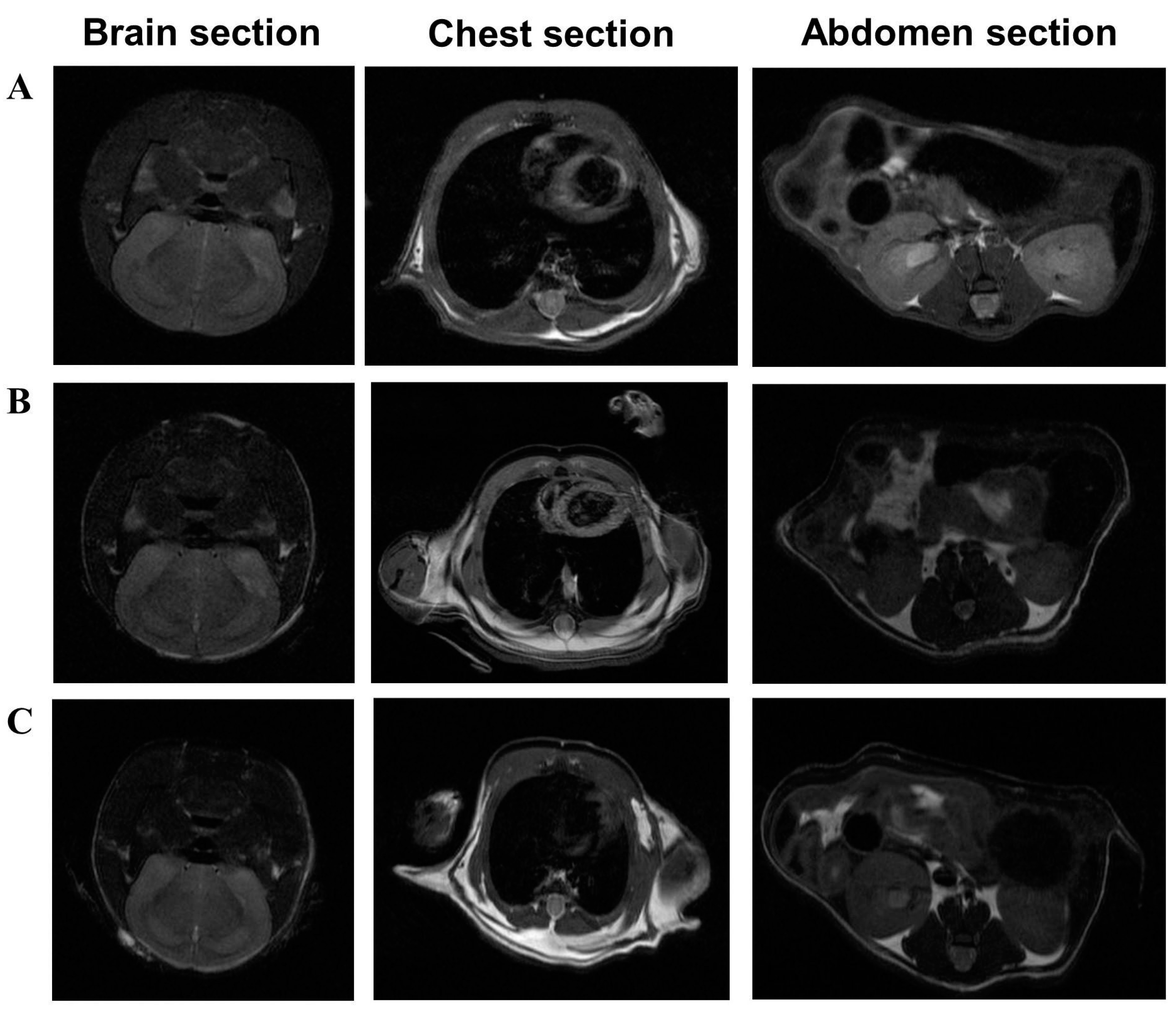 Biomedicines 12 01064 g005 Biomedicines 12 01064 g005