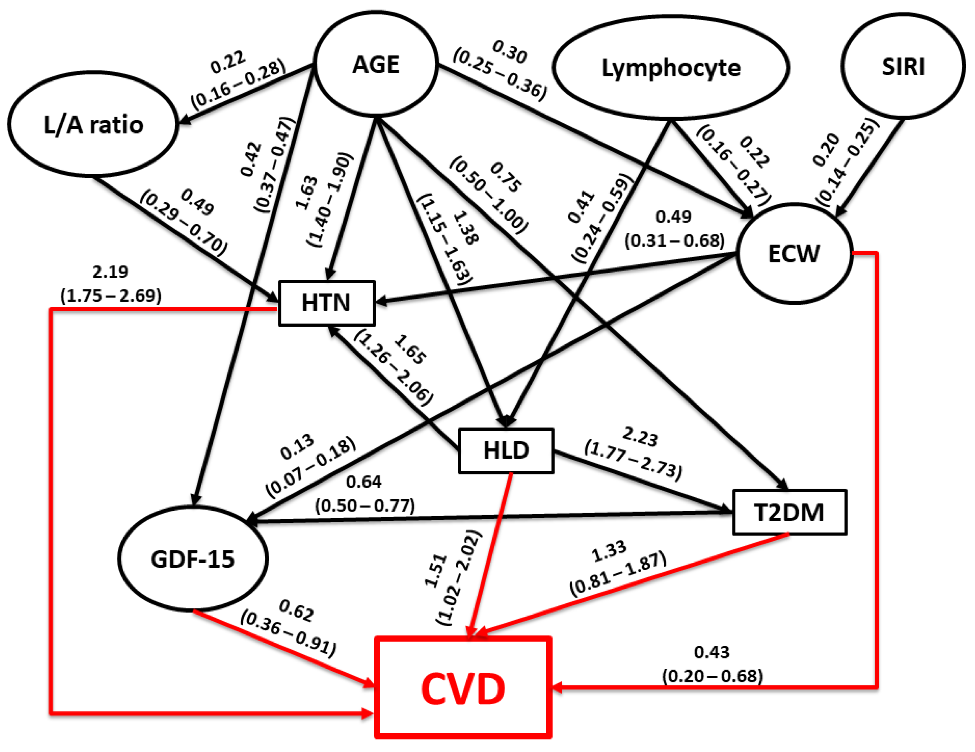 Biomedicines 12 01066 g001