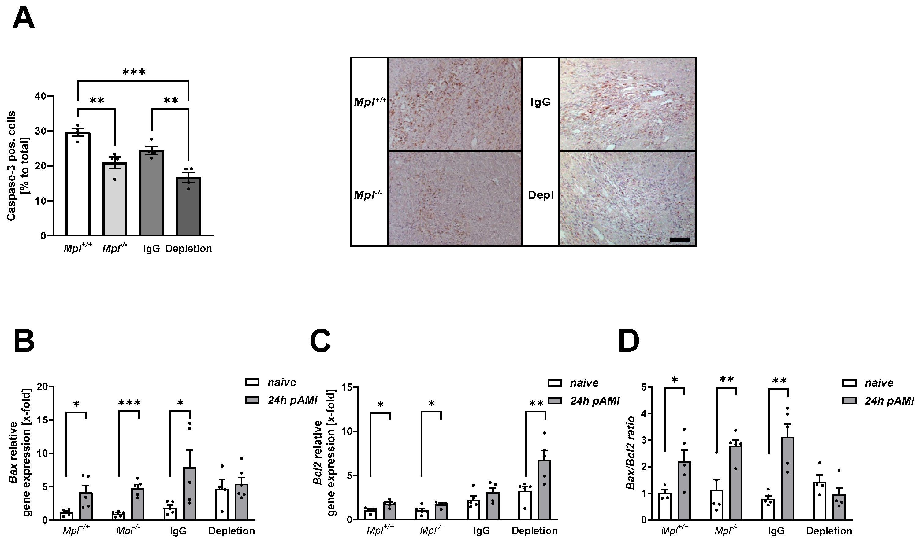 Biomedicines 12 01077 g002 Biomedicines 12 01077 g002