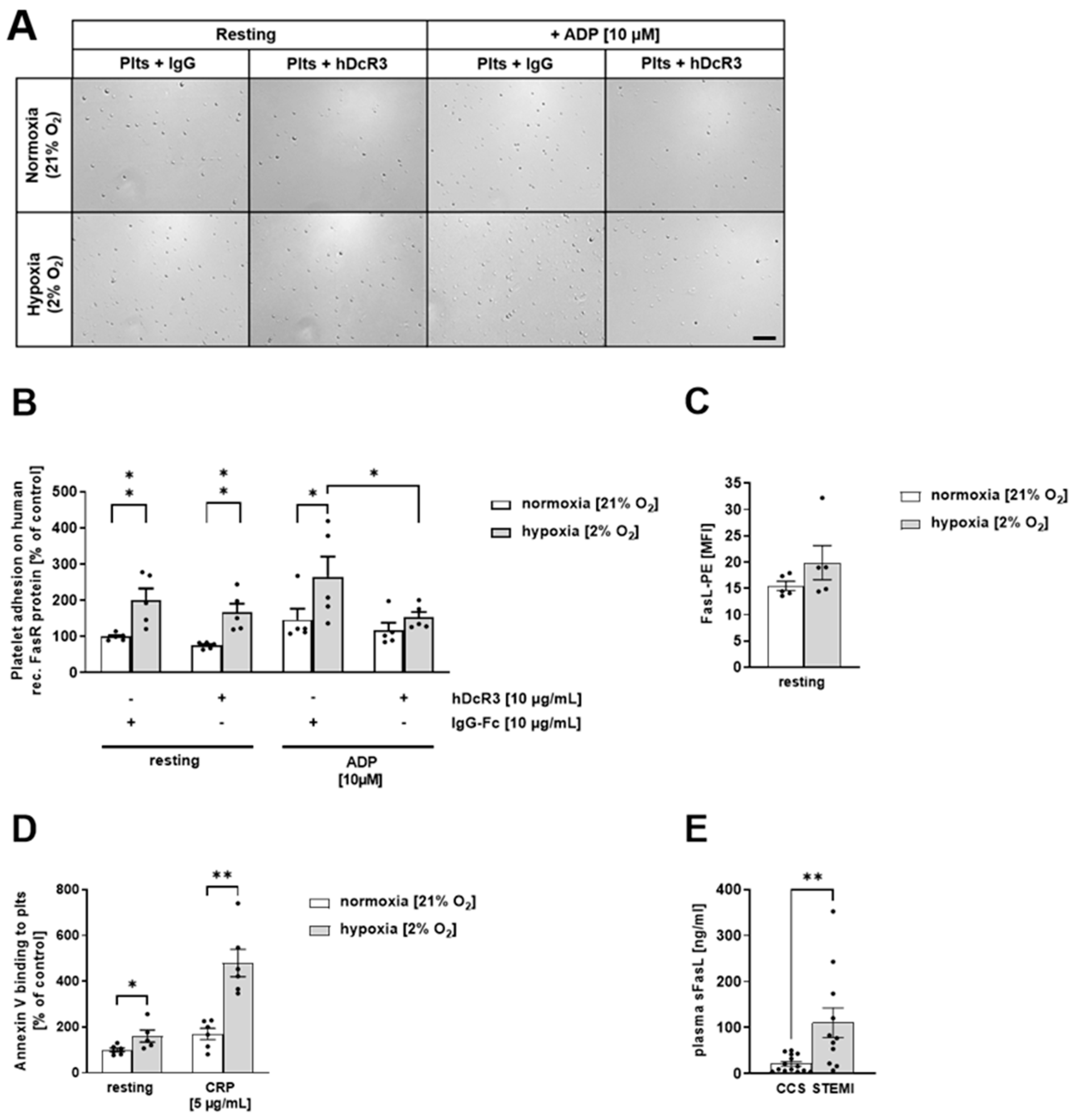 Biomedicines 12 01077 g003 Biomedicines 12 01077 g003