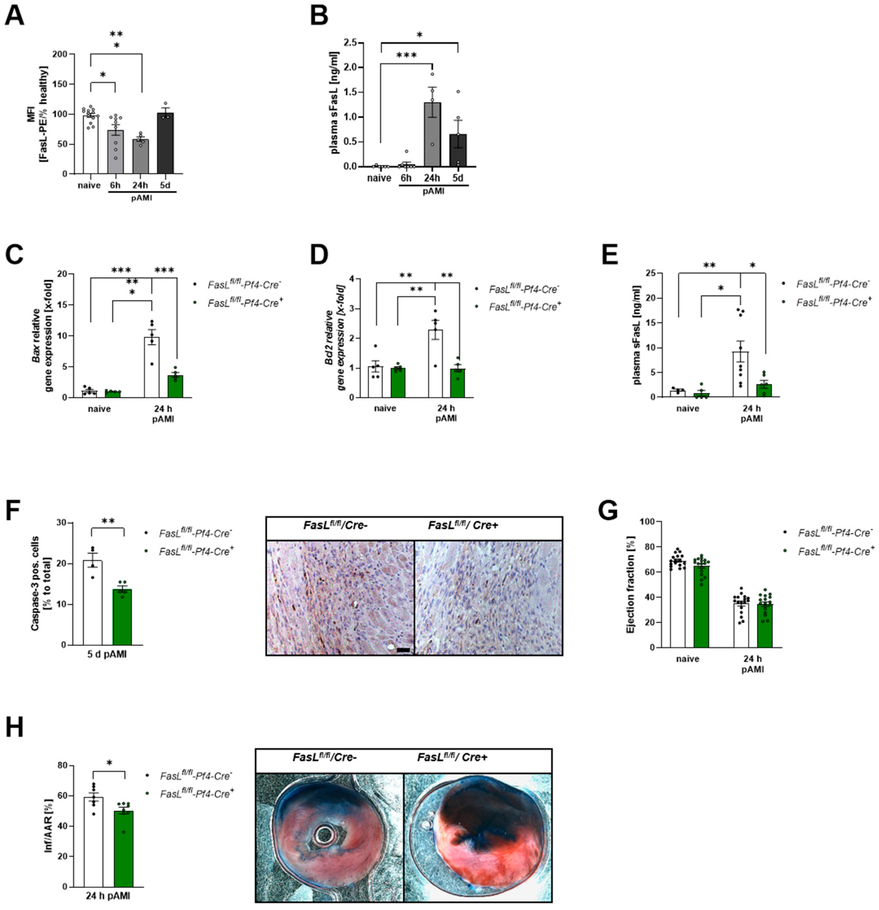 Biomedicines 12 01077 g004 Biomedicines 12 01077 g004