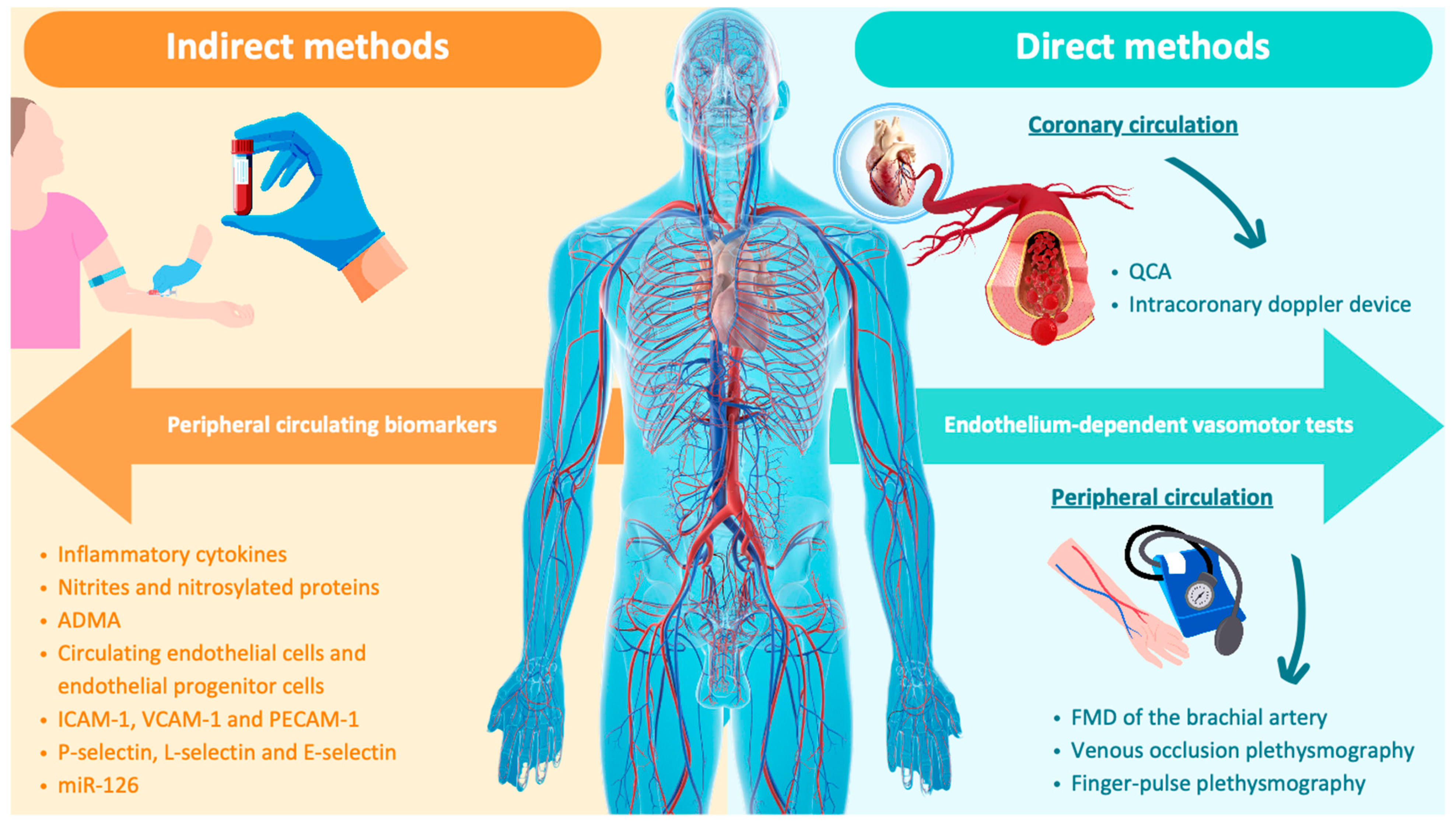 Biomedicines 12 01085 g002 Biomedicines 12 01085 g002