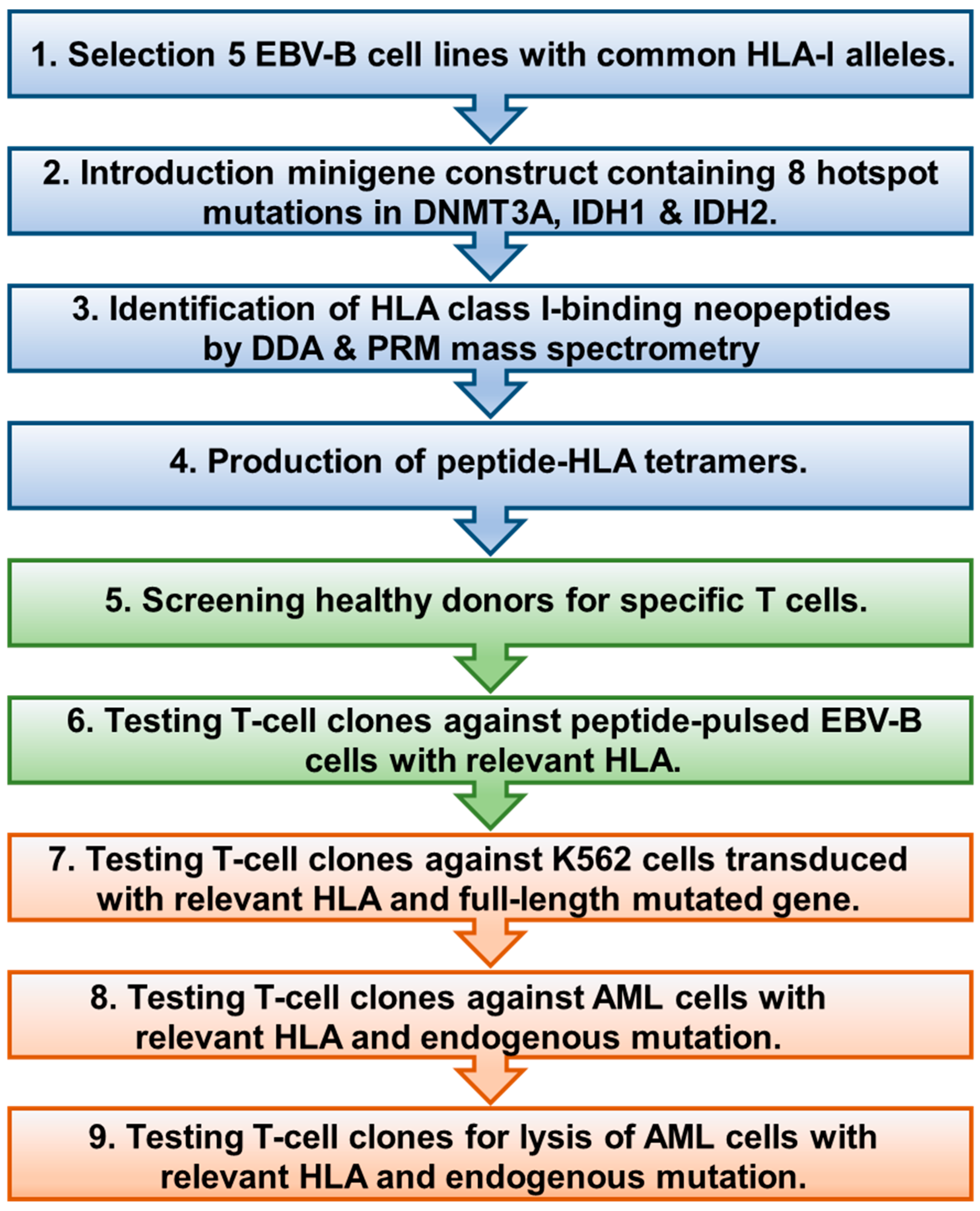Biomedicines 12 01086 g001
