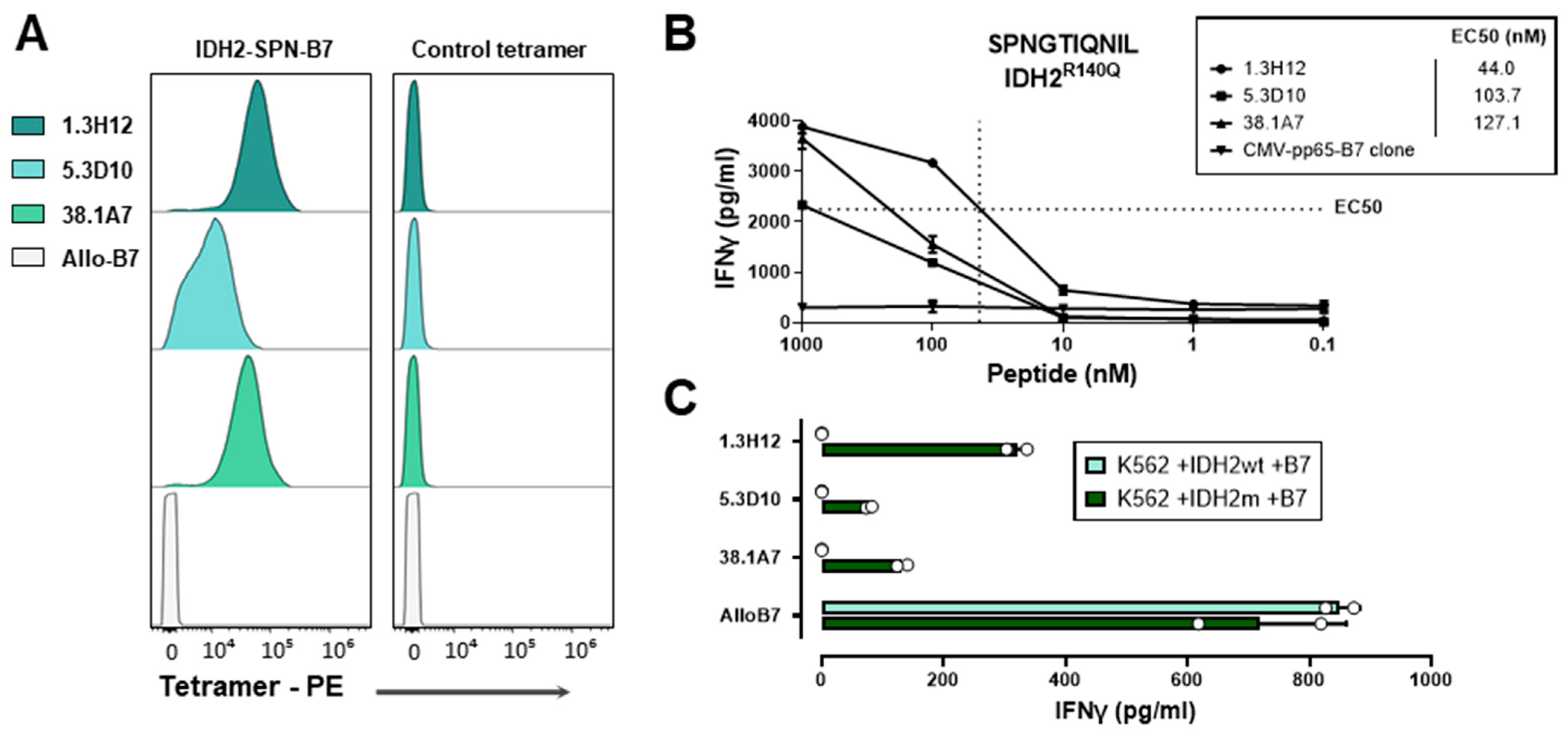 Biomedicines 12 01086 g004