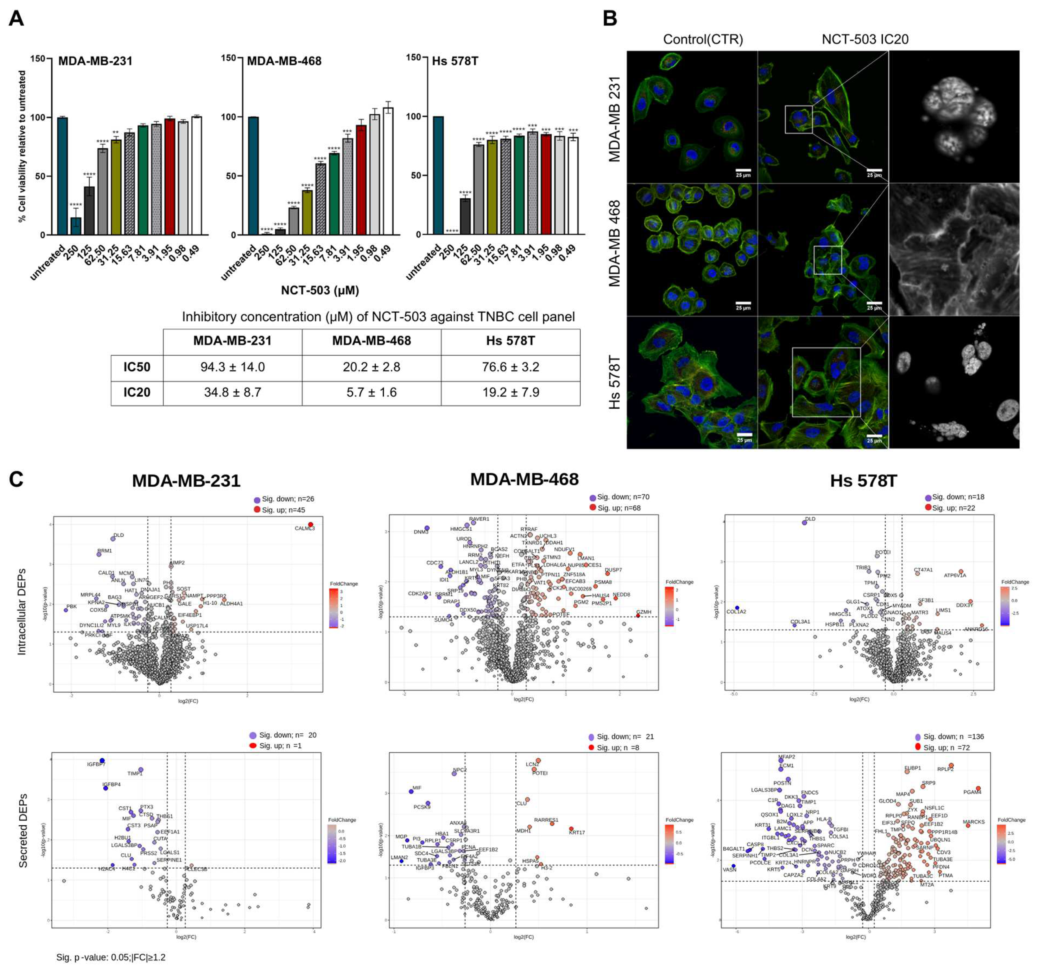 Biomedicines 12 01087 g002