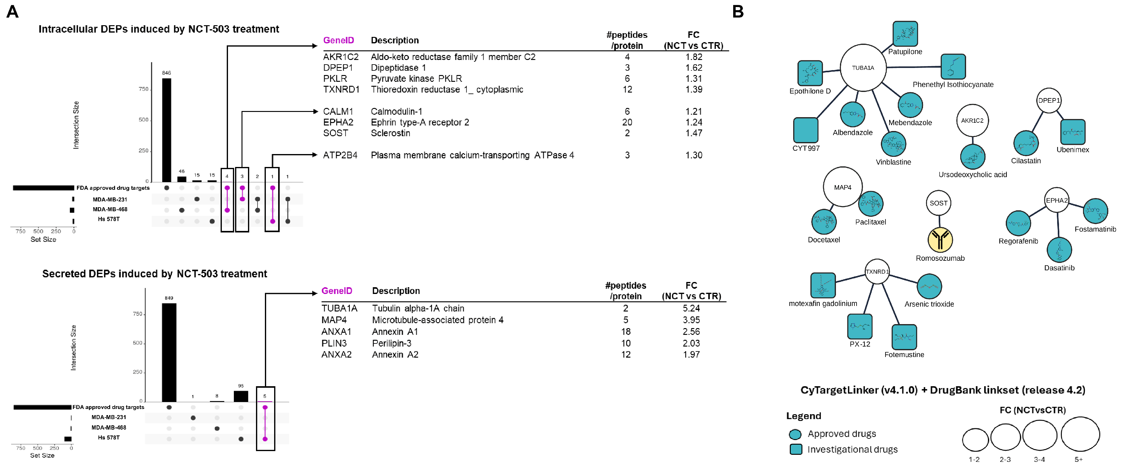 Biomedicines 12 01087 g003