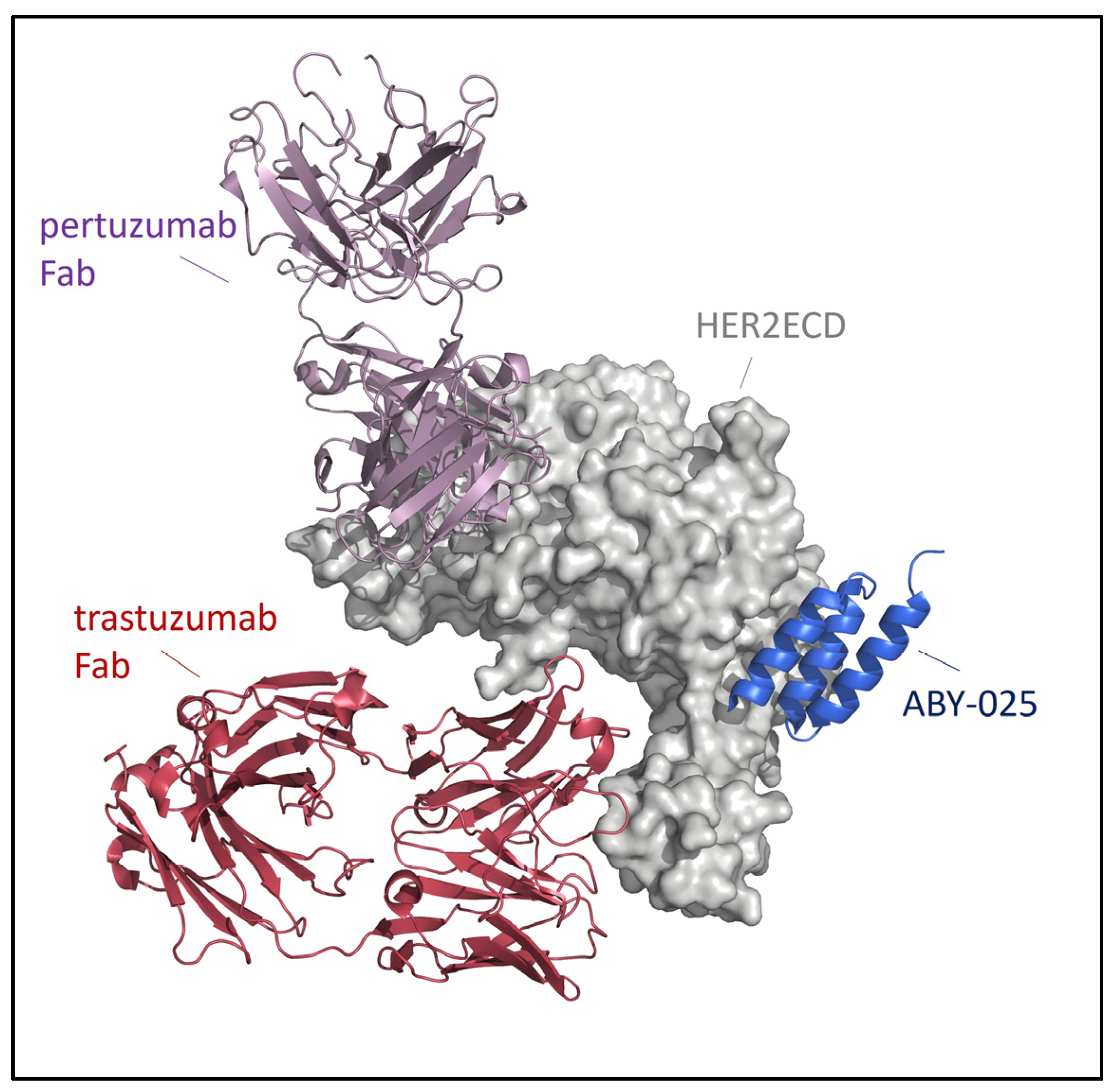 Biomedicines 12 01088 g001