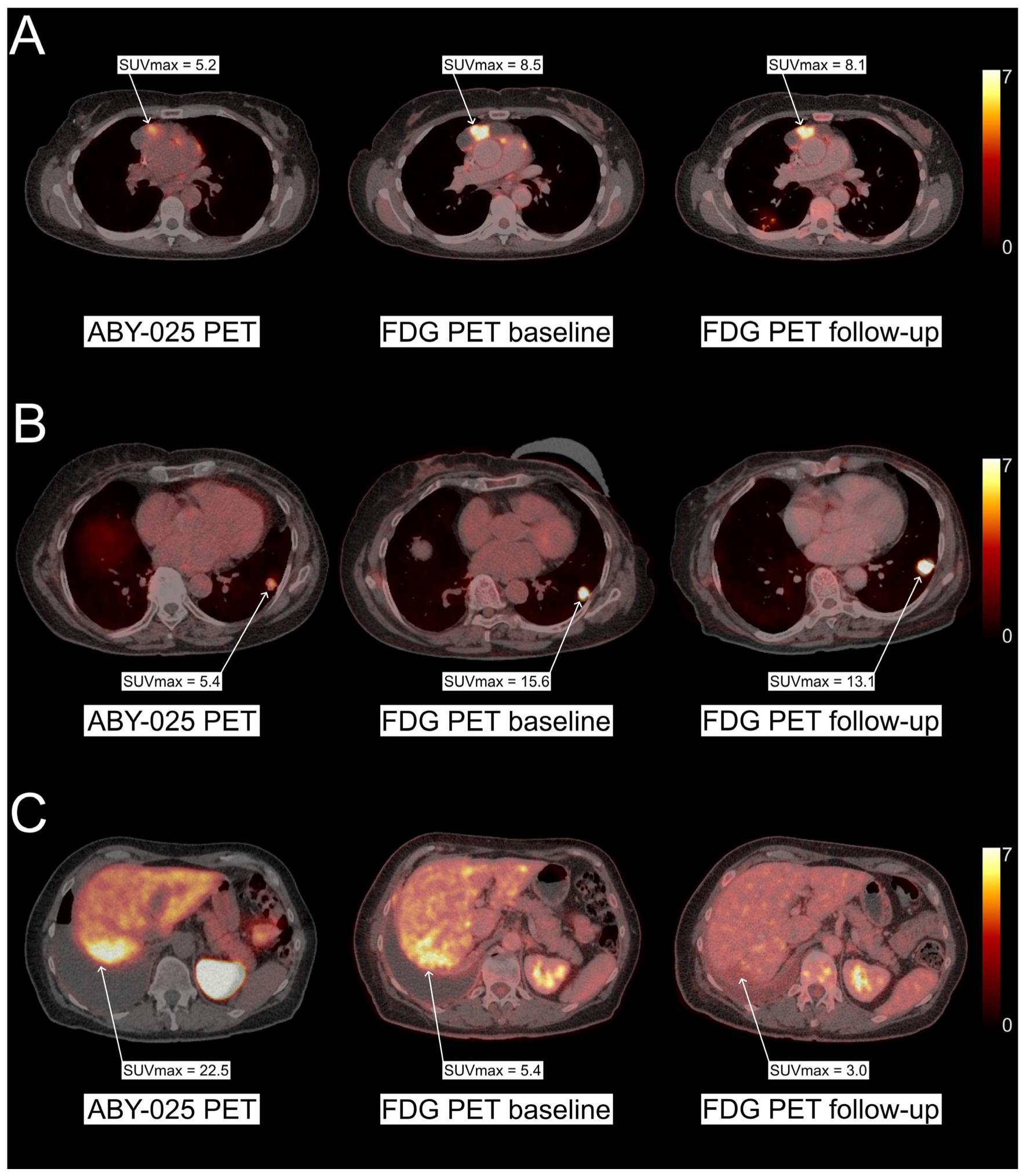 Biomedicines 12 01088 g002
