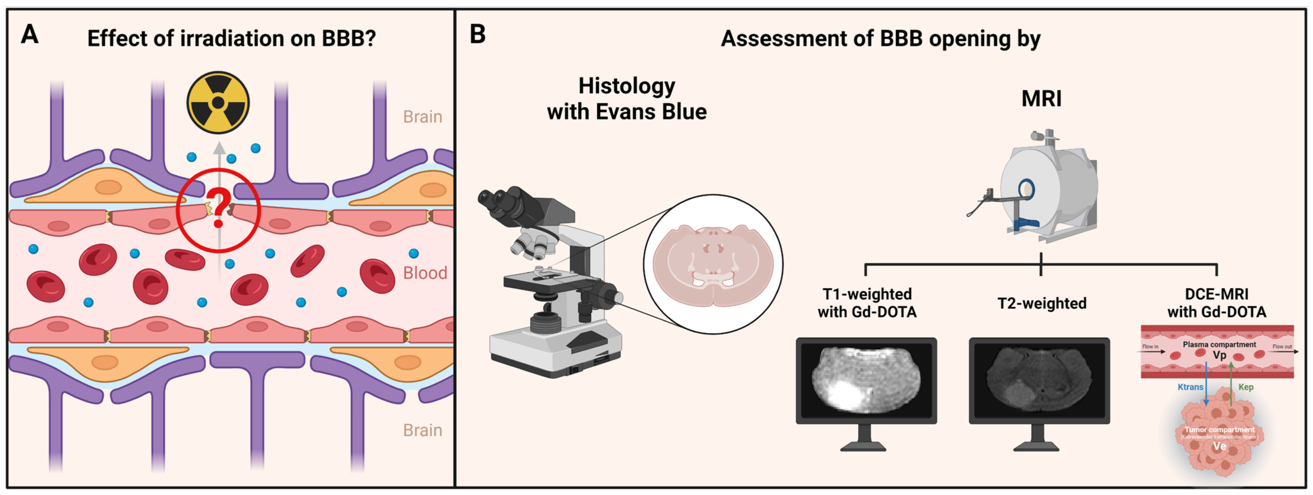 Biomedicines 12 01091 g001