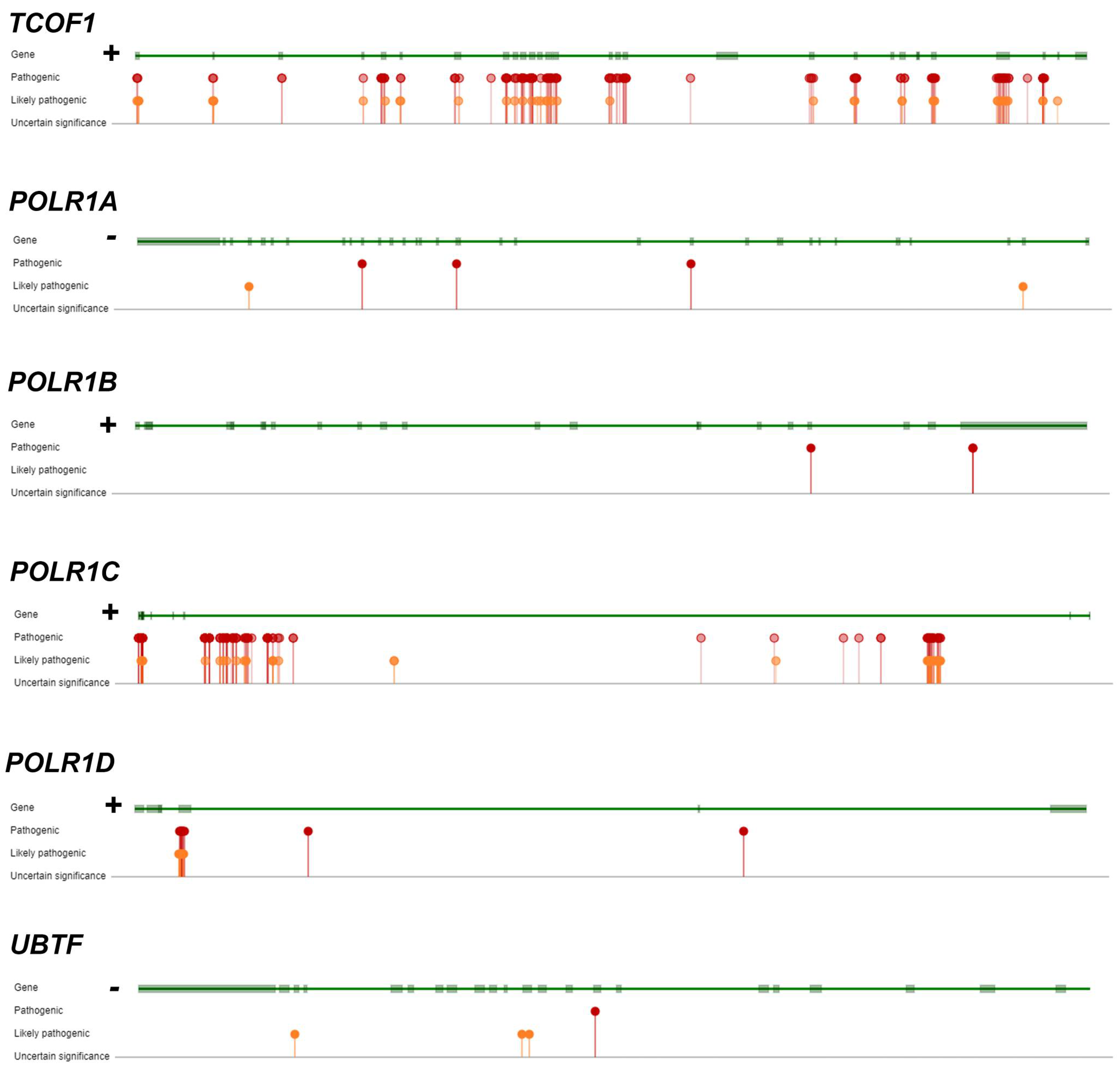 Biomedicines 12 01092 g002 Biomedicines 12 01092 g002