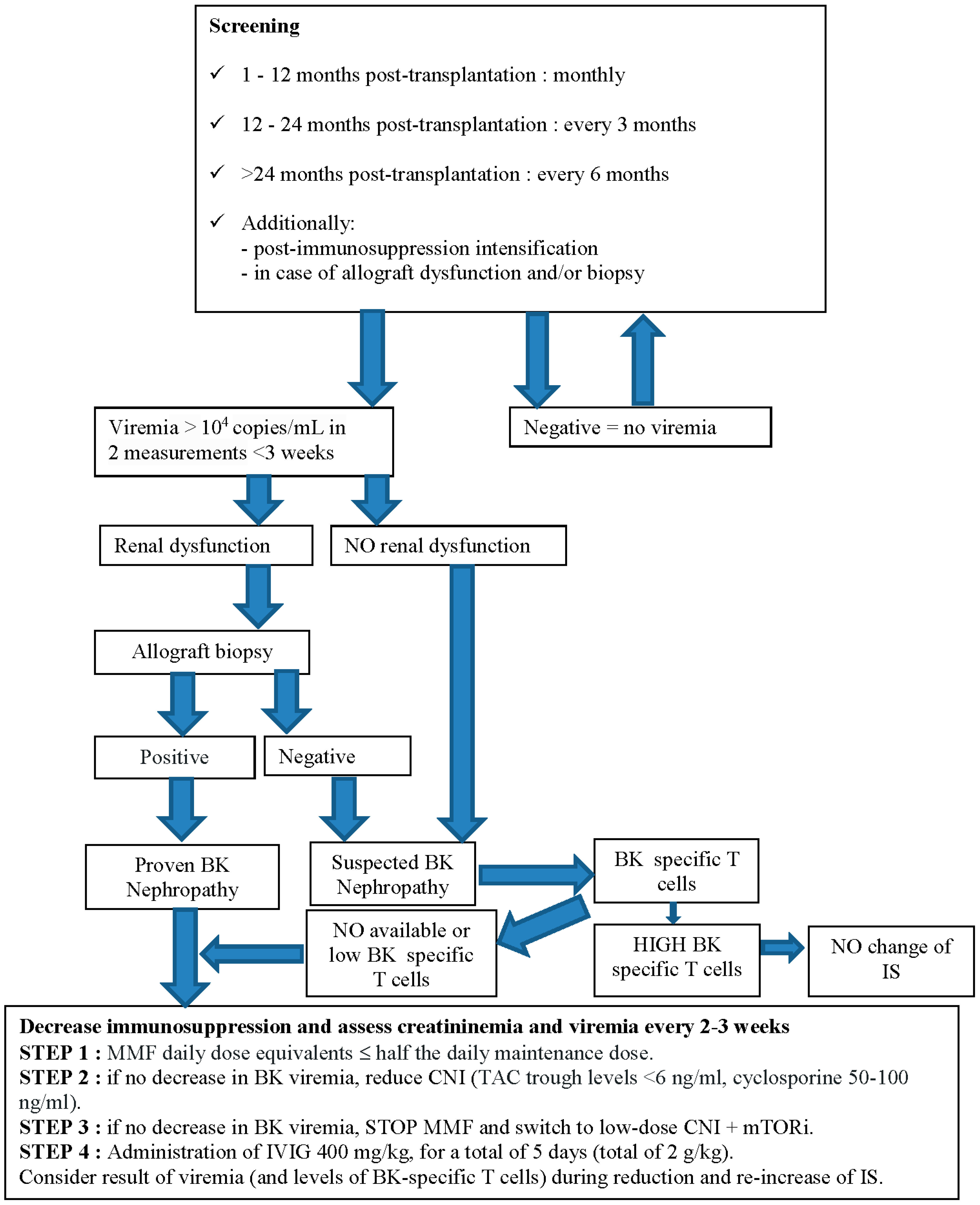 Biomedicines 12 01093 g001
