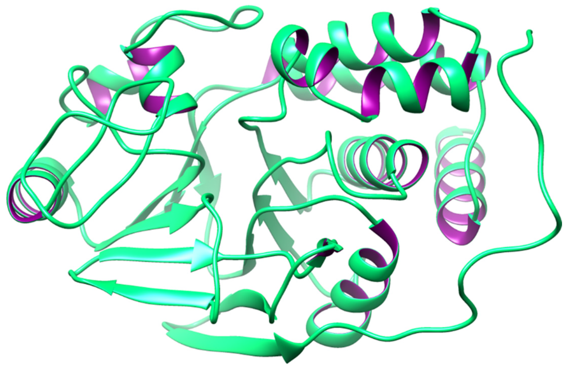 Biomedicines 12 01097 g006