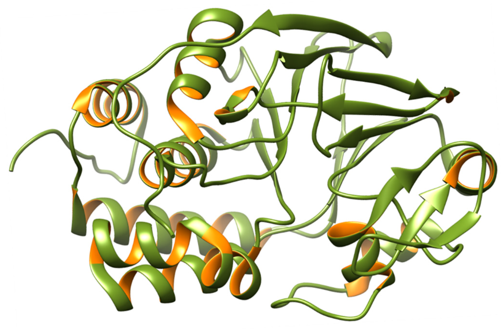 Biomedicines 12 01097 g007