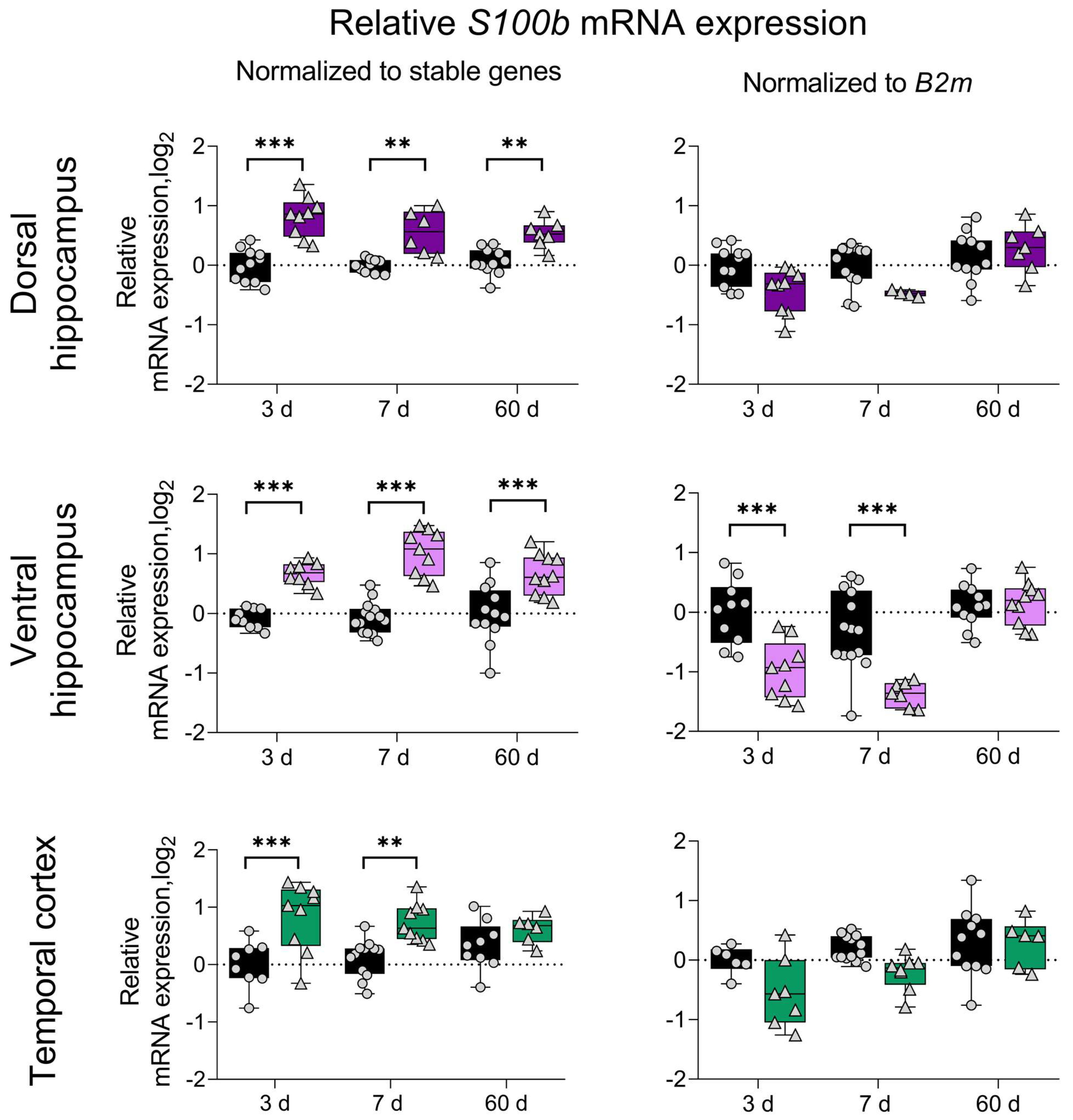 Biomedicines 12 01100 g004
