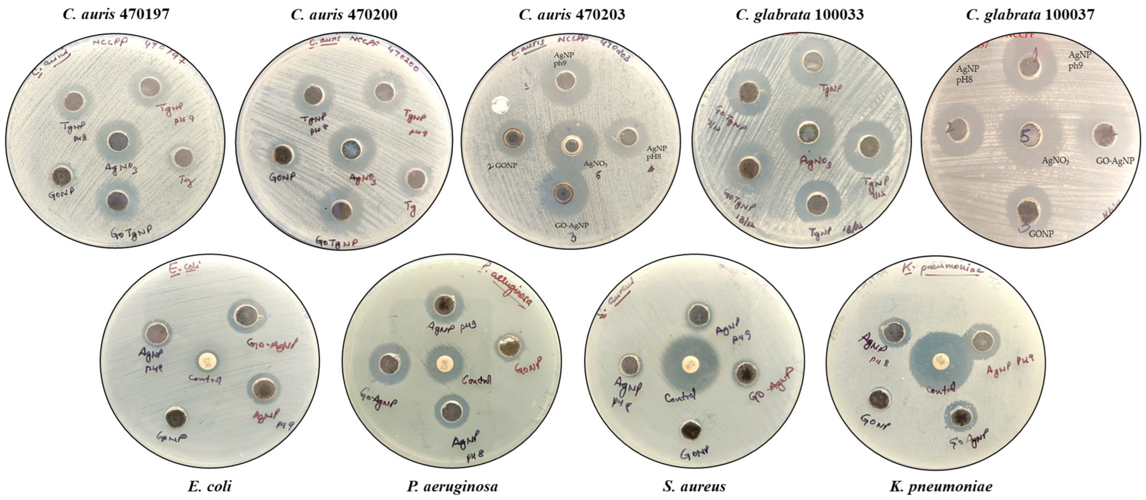 Biomedicines 12 01104 g007