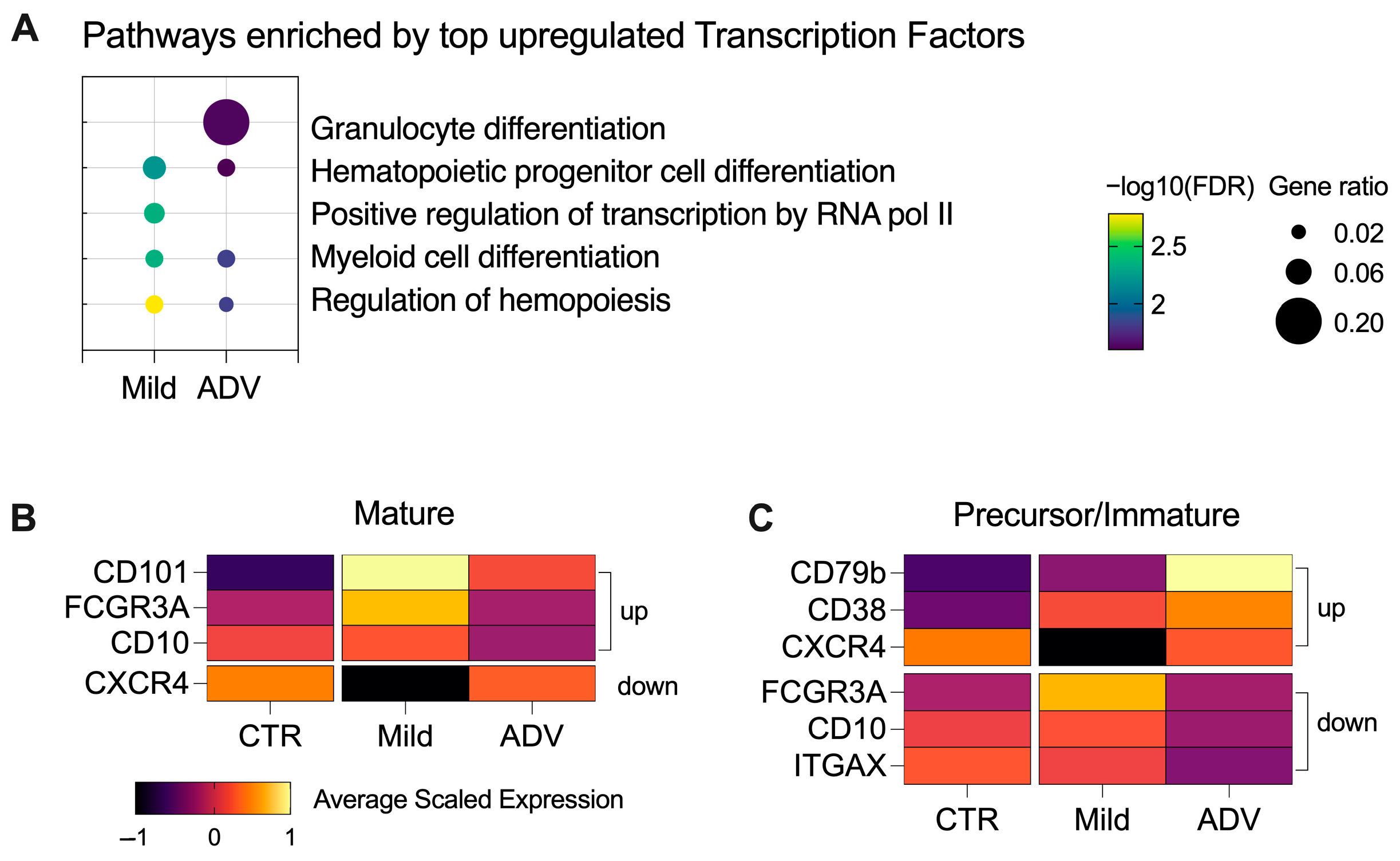 Biomedicines 12 01105 g003