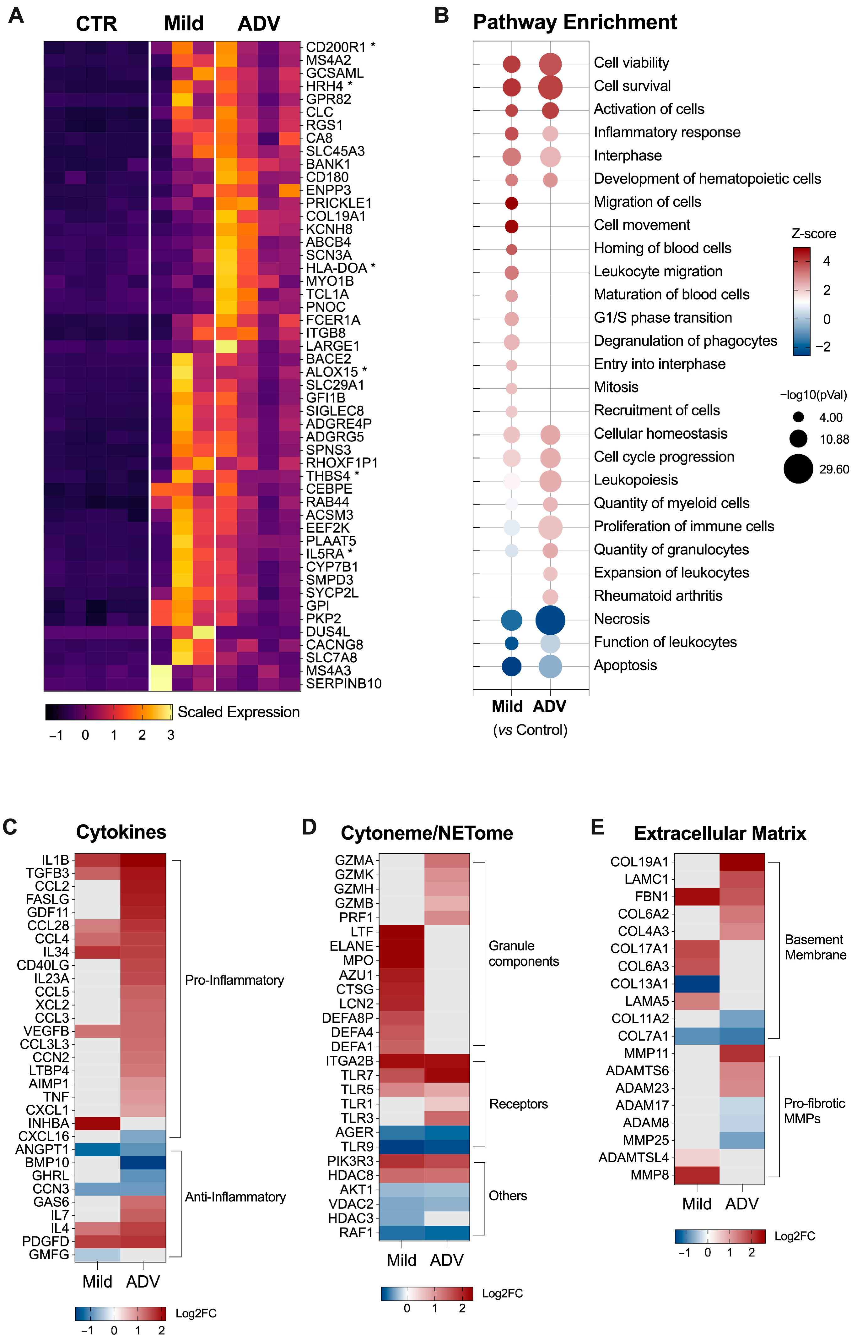 Biomedicines 12 01105 g004