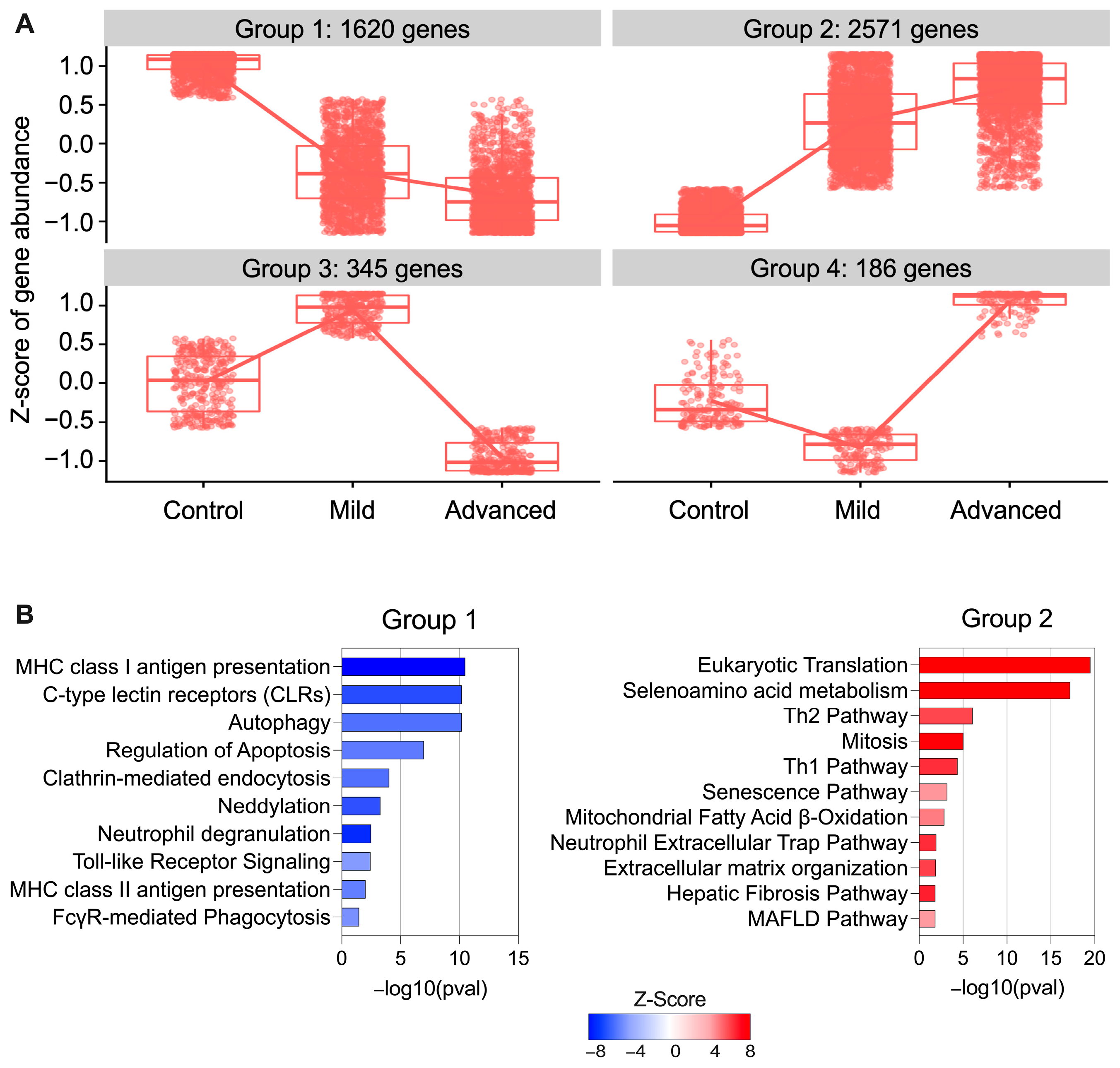 Biomedicines 12 01105 g005