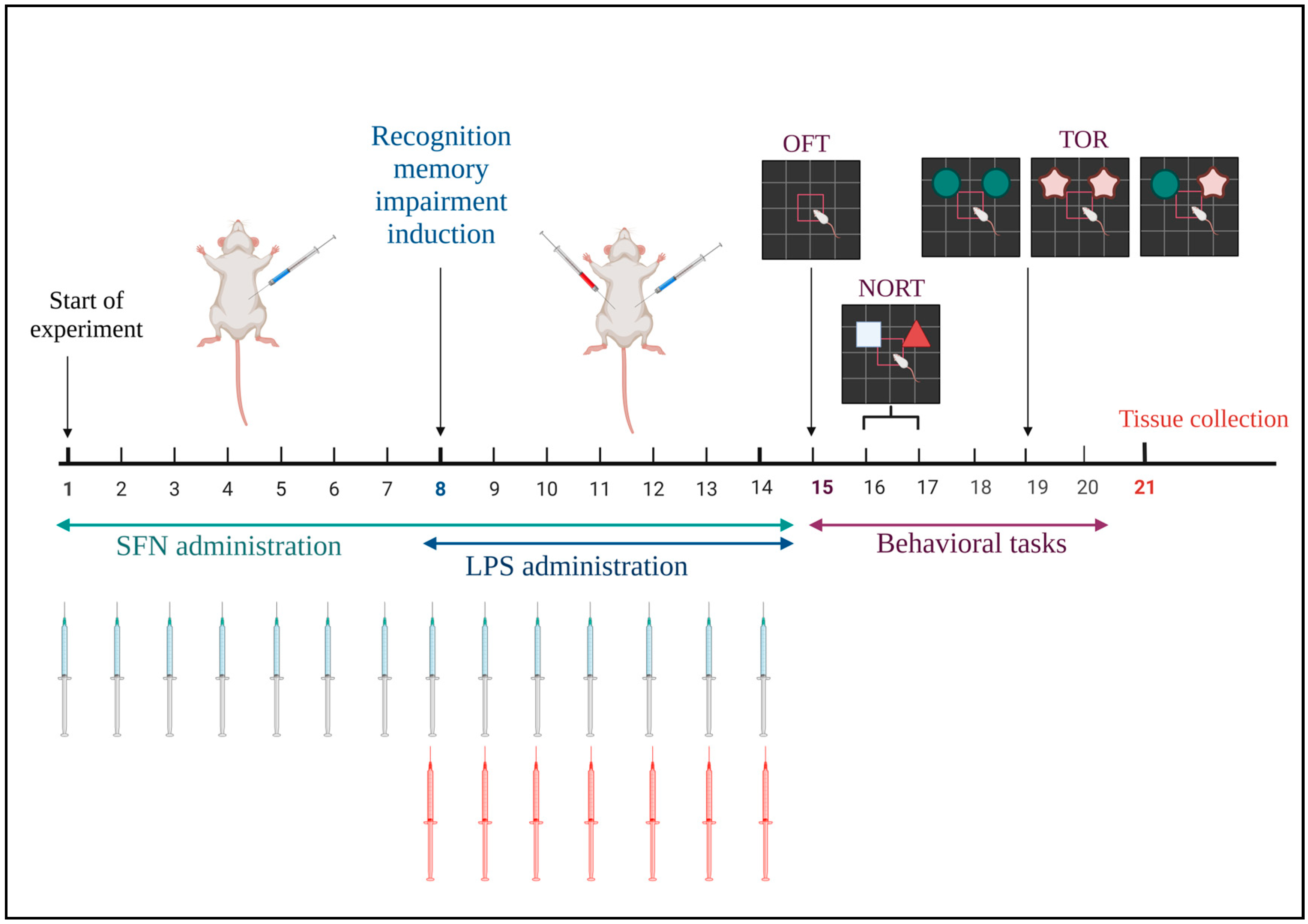 Biomedicines 12 01107 g001