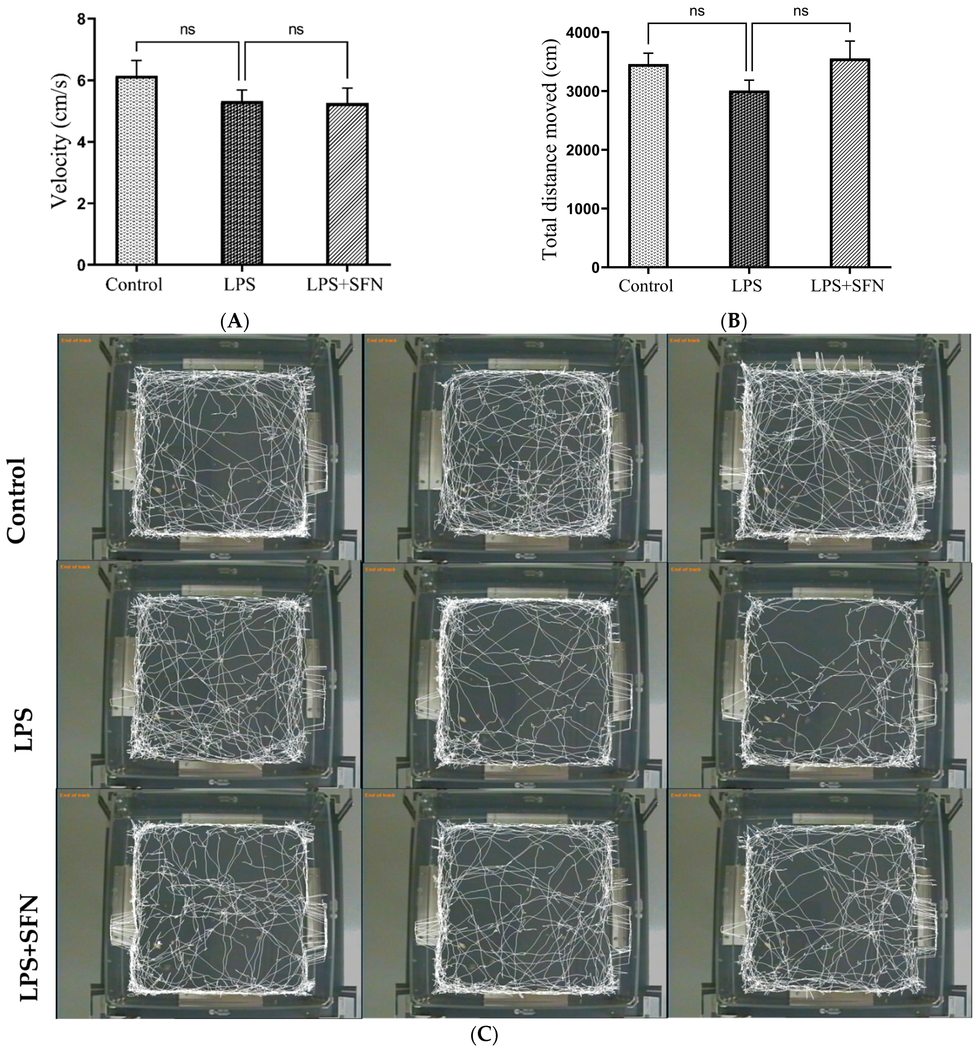 Biomedicines 12 01107 g005
