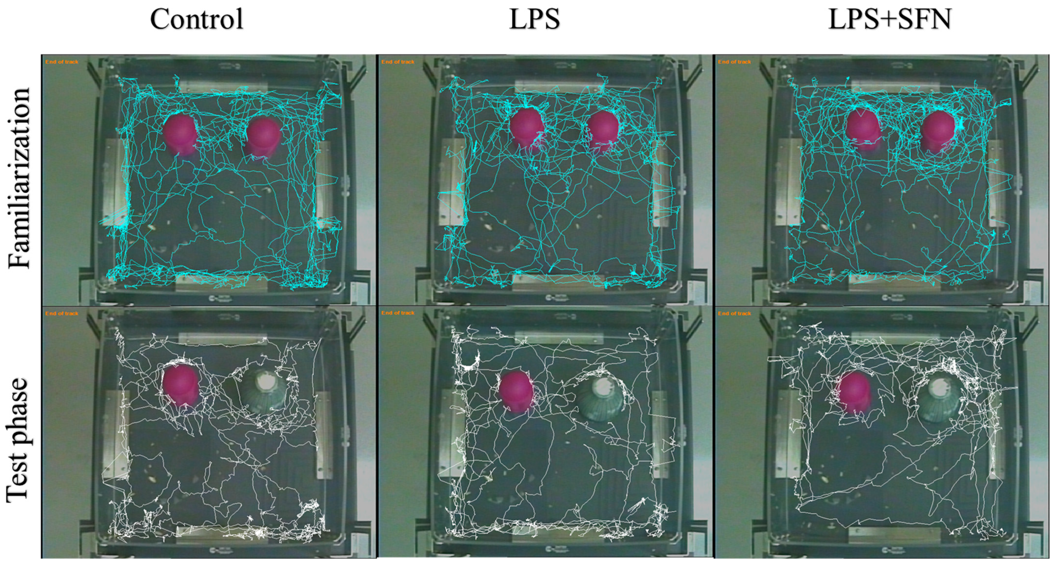 Biomedicines 12 01107 g007