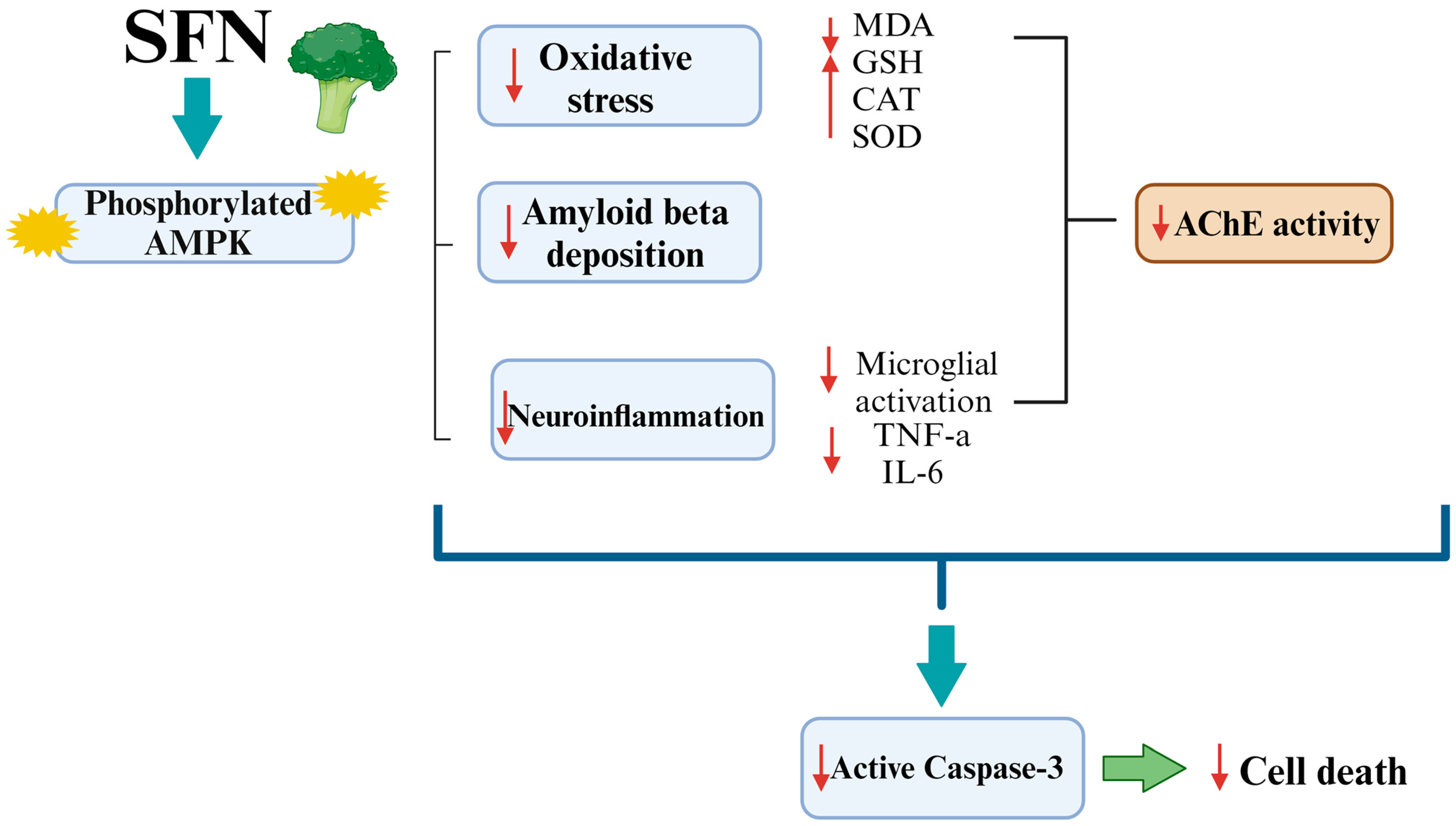 Biomedicines 12 01107 g019
