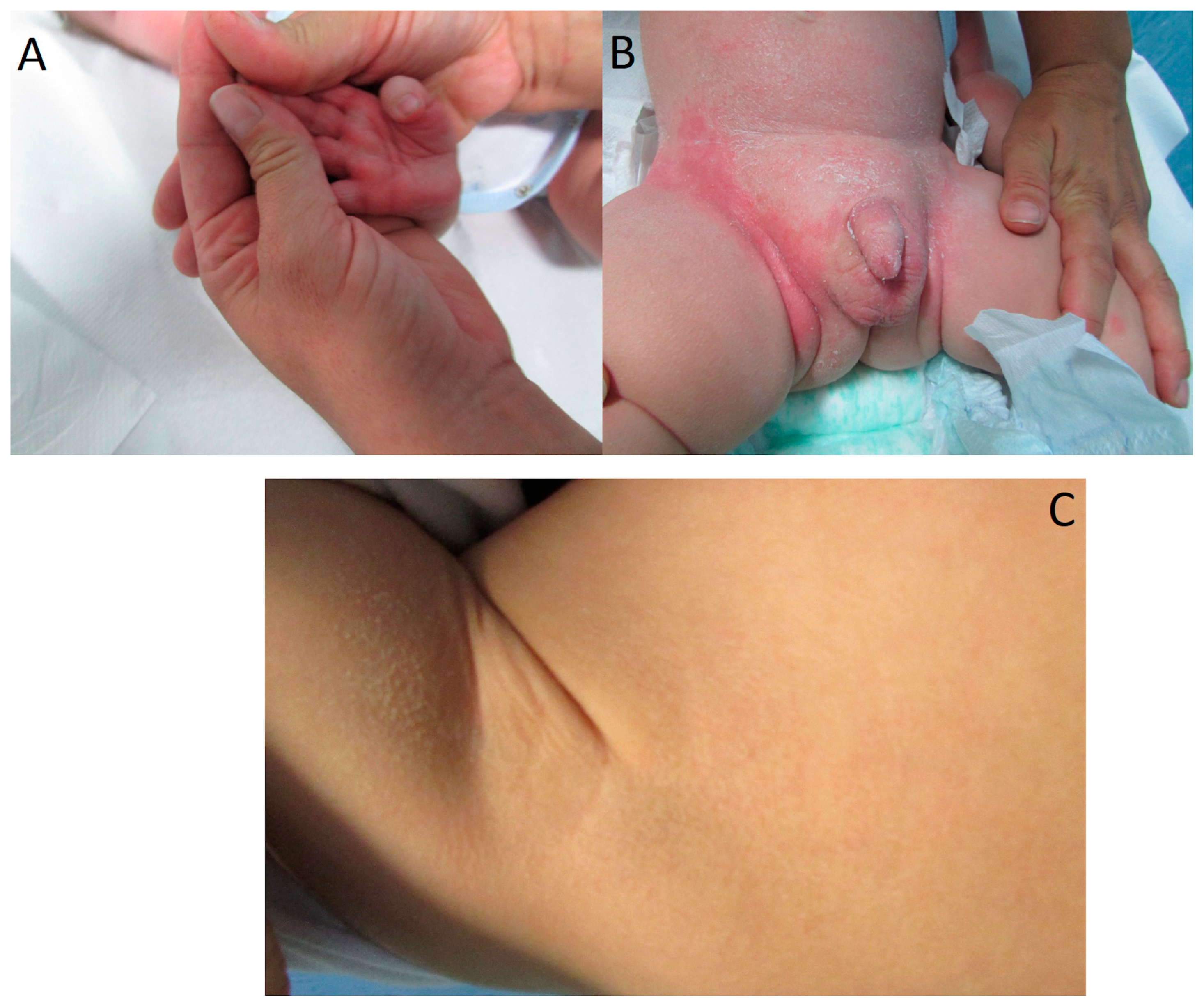 Biomedicines 12 01112 g001 Biomedicines 12 01112 g001
