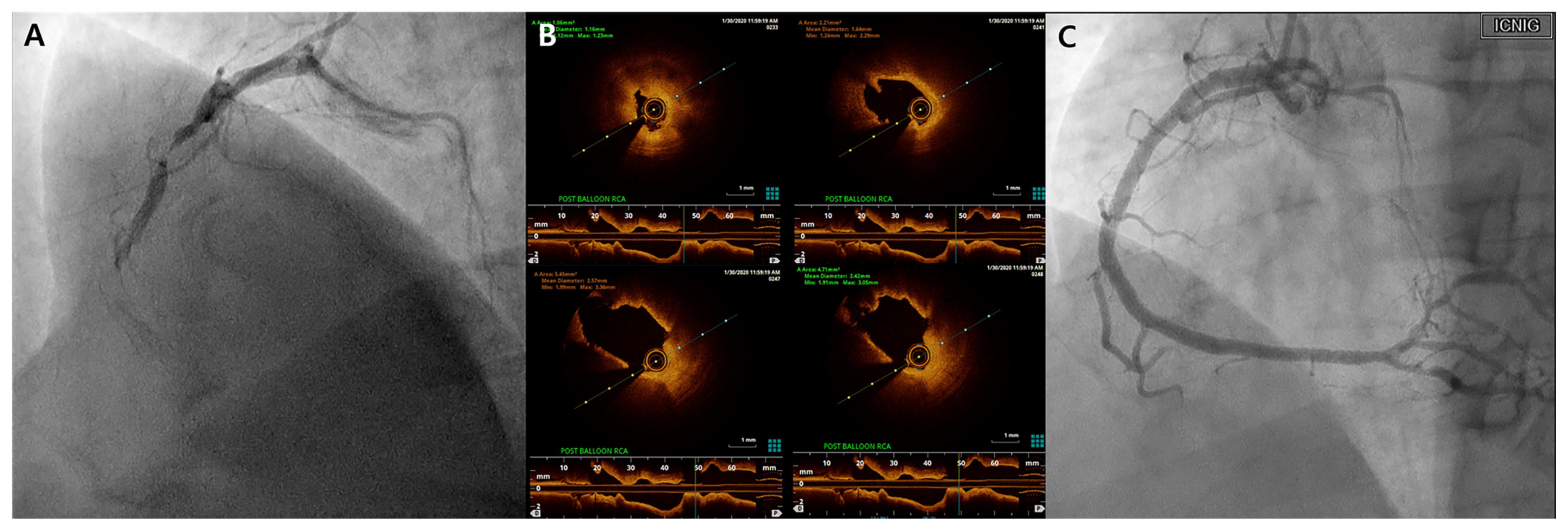 Biomedicines 12 01113 g002