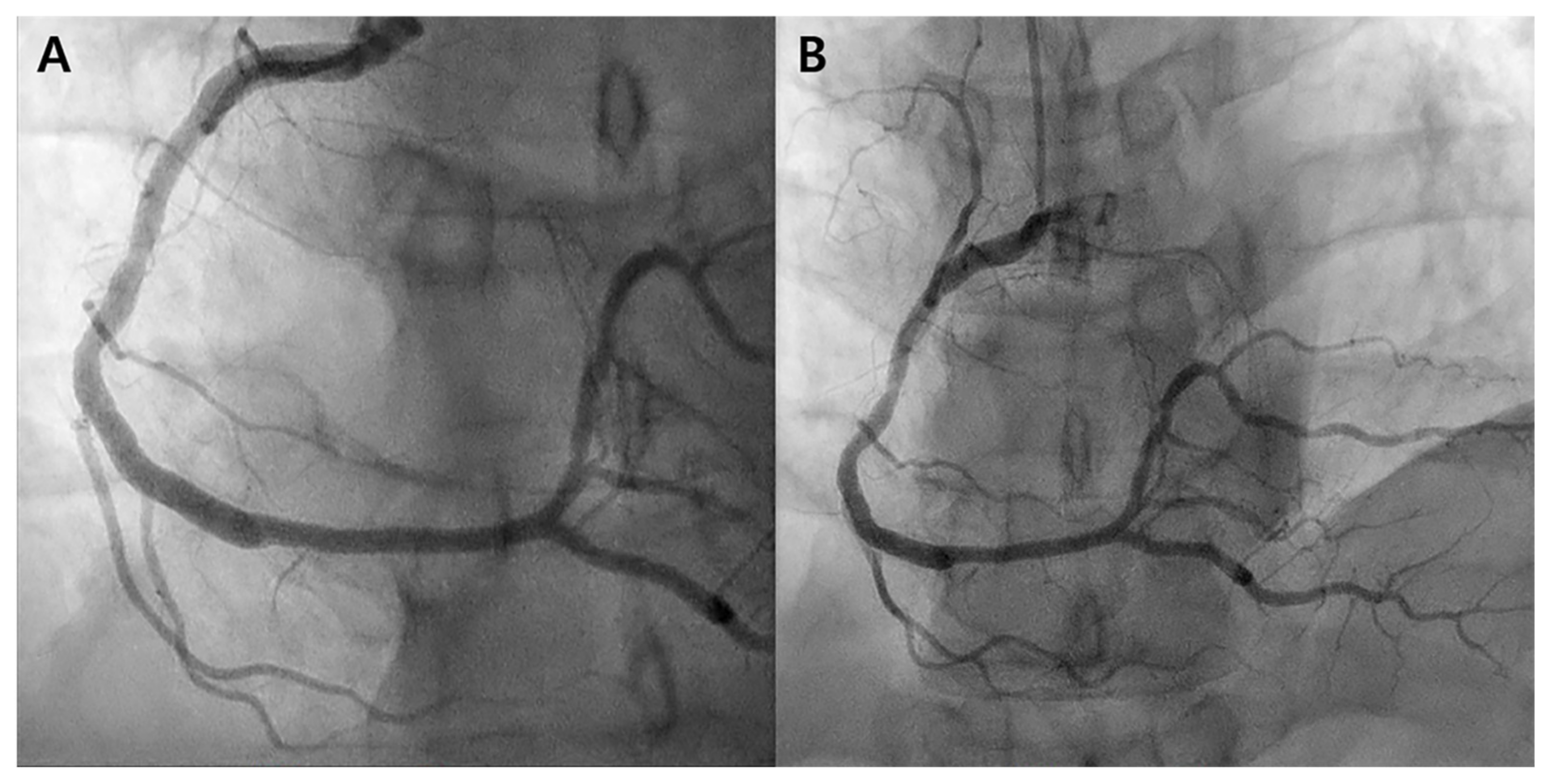 Biomedicines 12 01113 g003