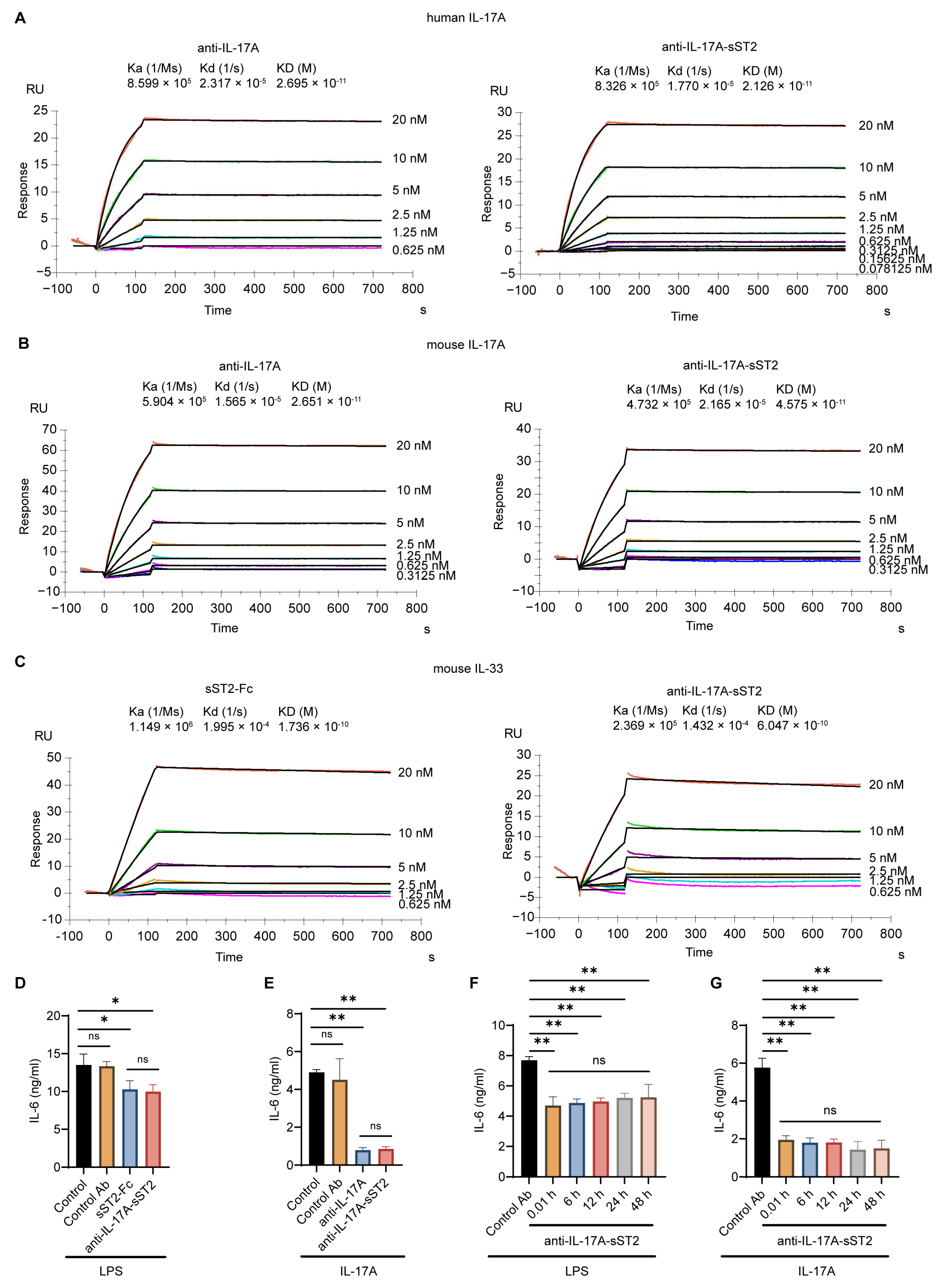 Biomedicines 12 01118 g002