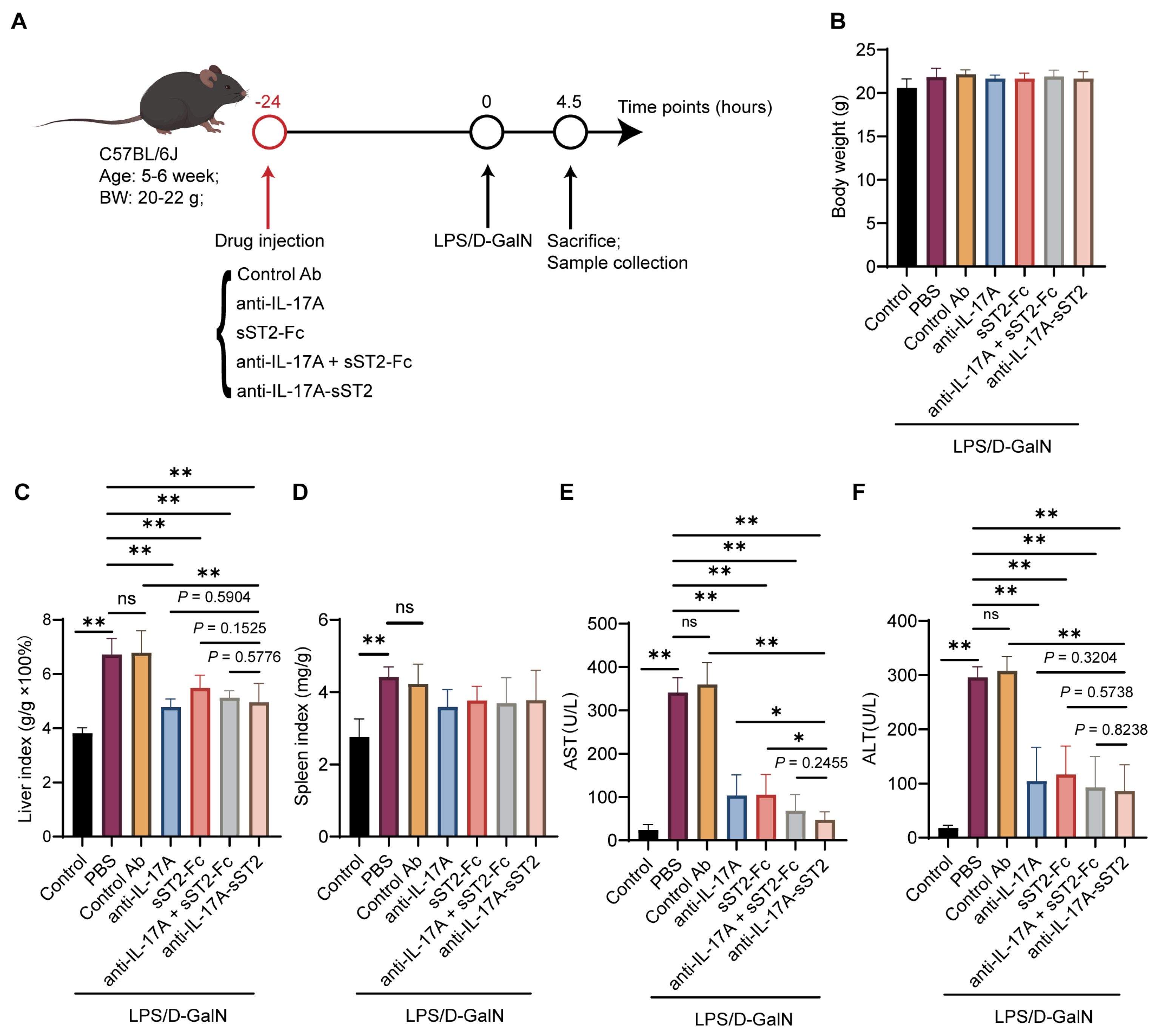 Biomedicines 12 01118 g003