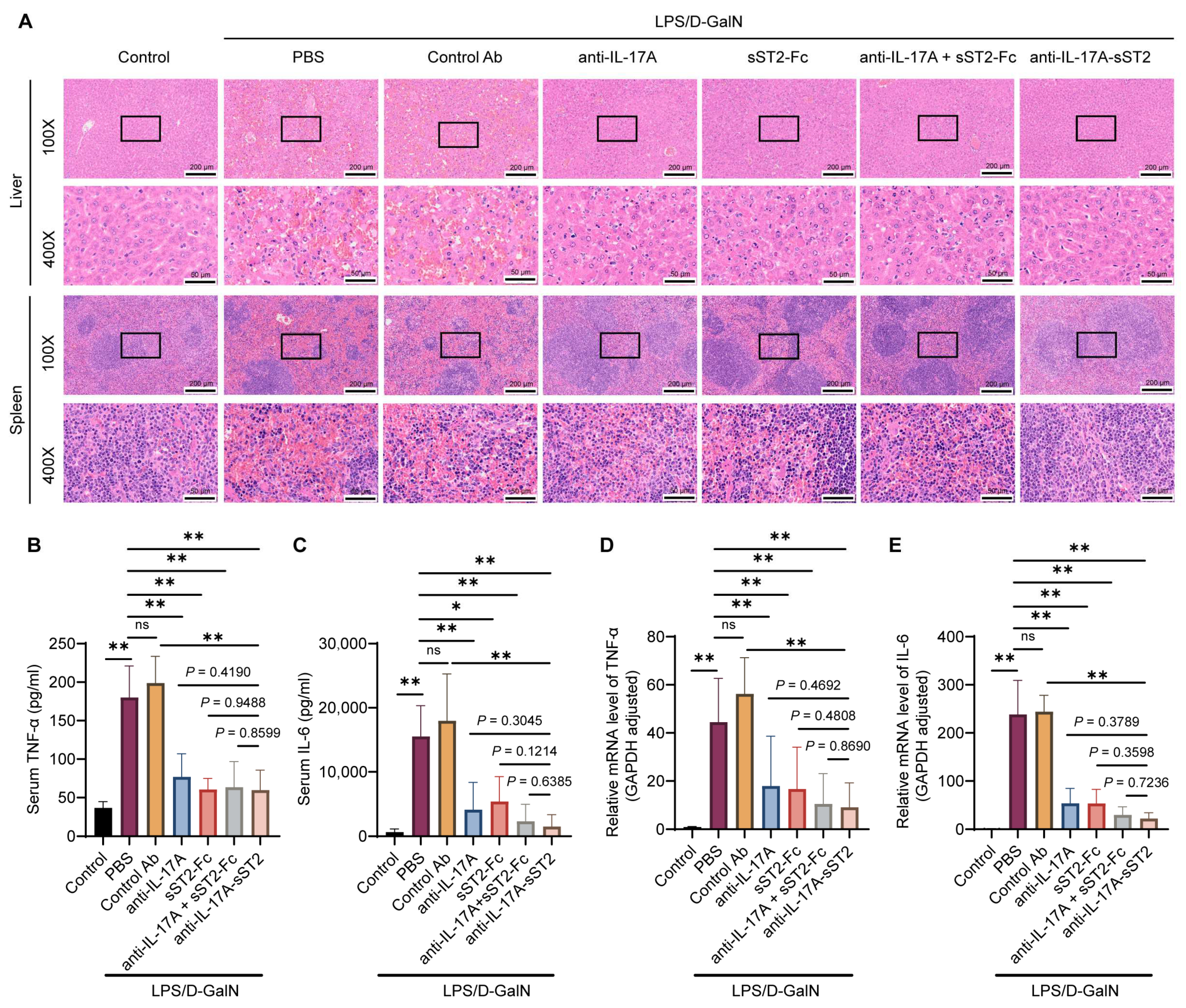 Biomedicines 12 01118 g004