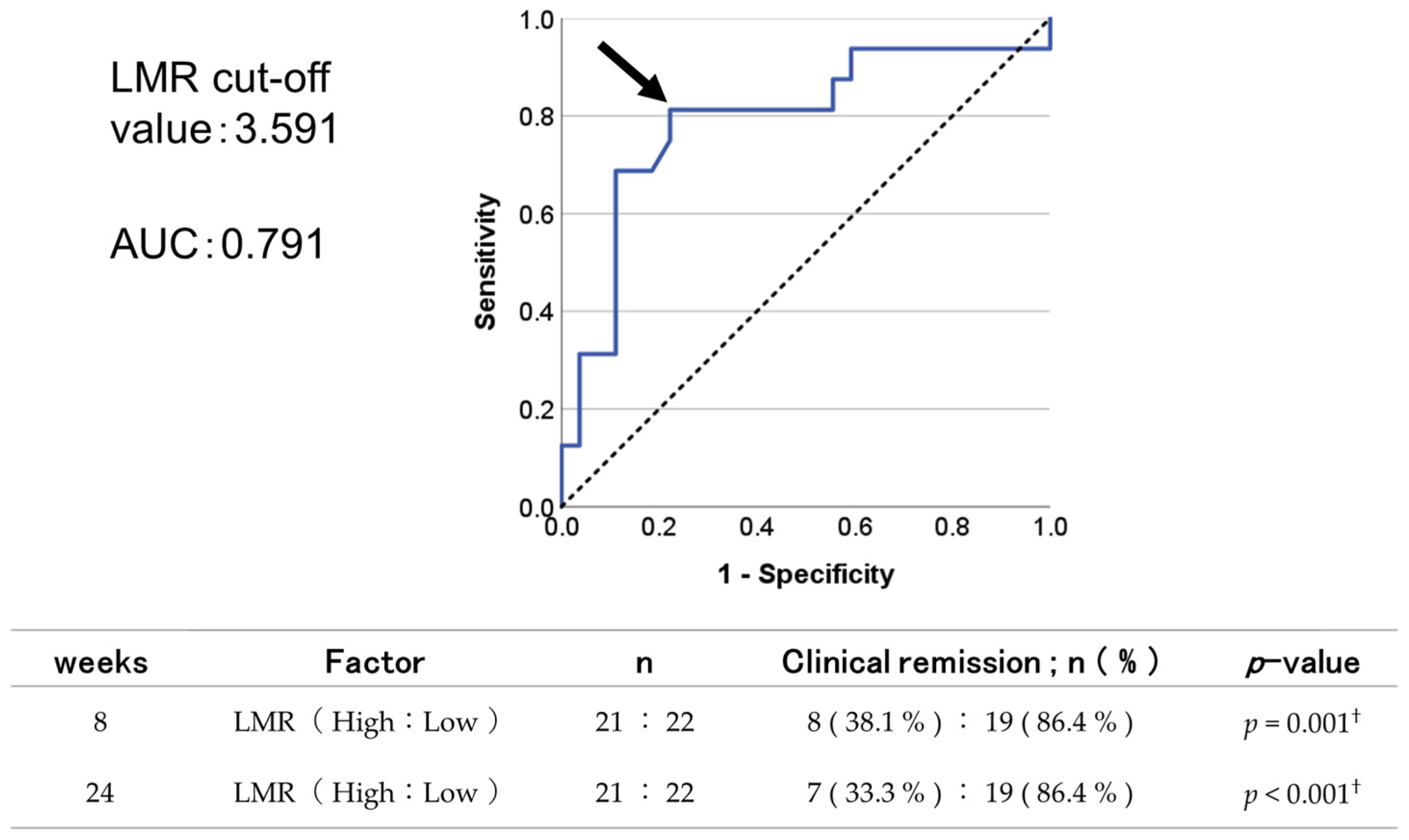 Biomedicines 12 01119 g005