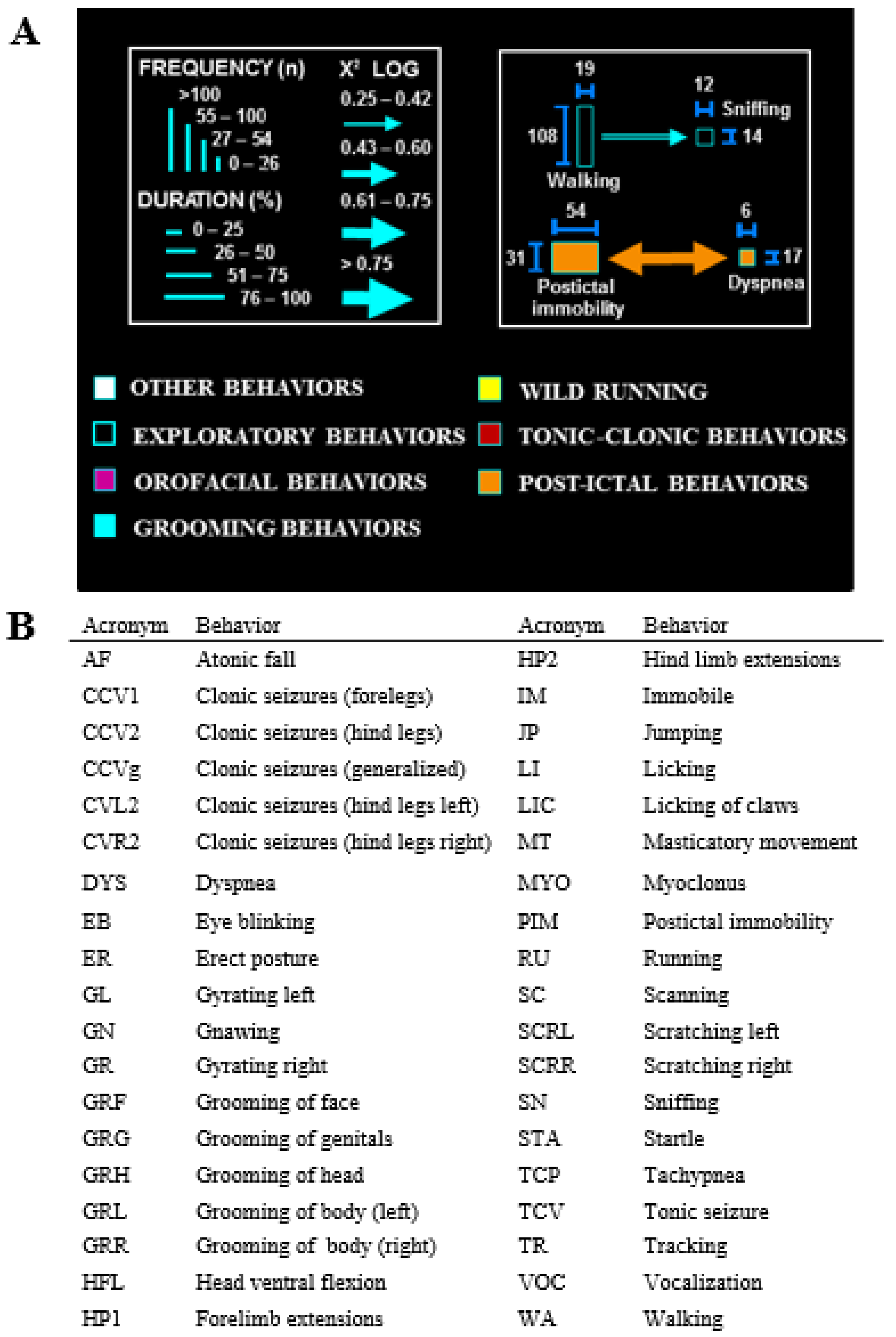 Biomedicines 12 01121 g001