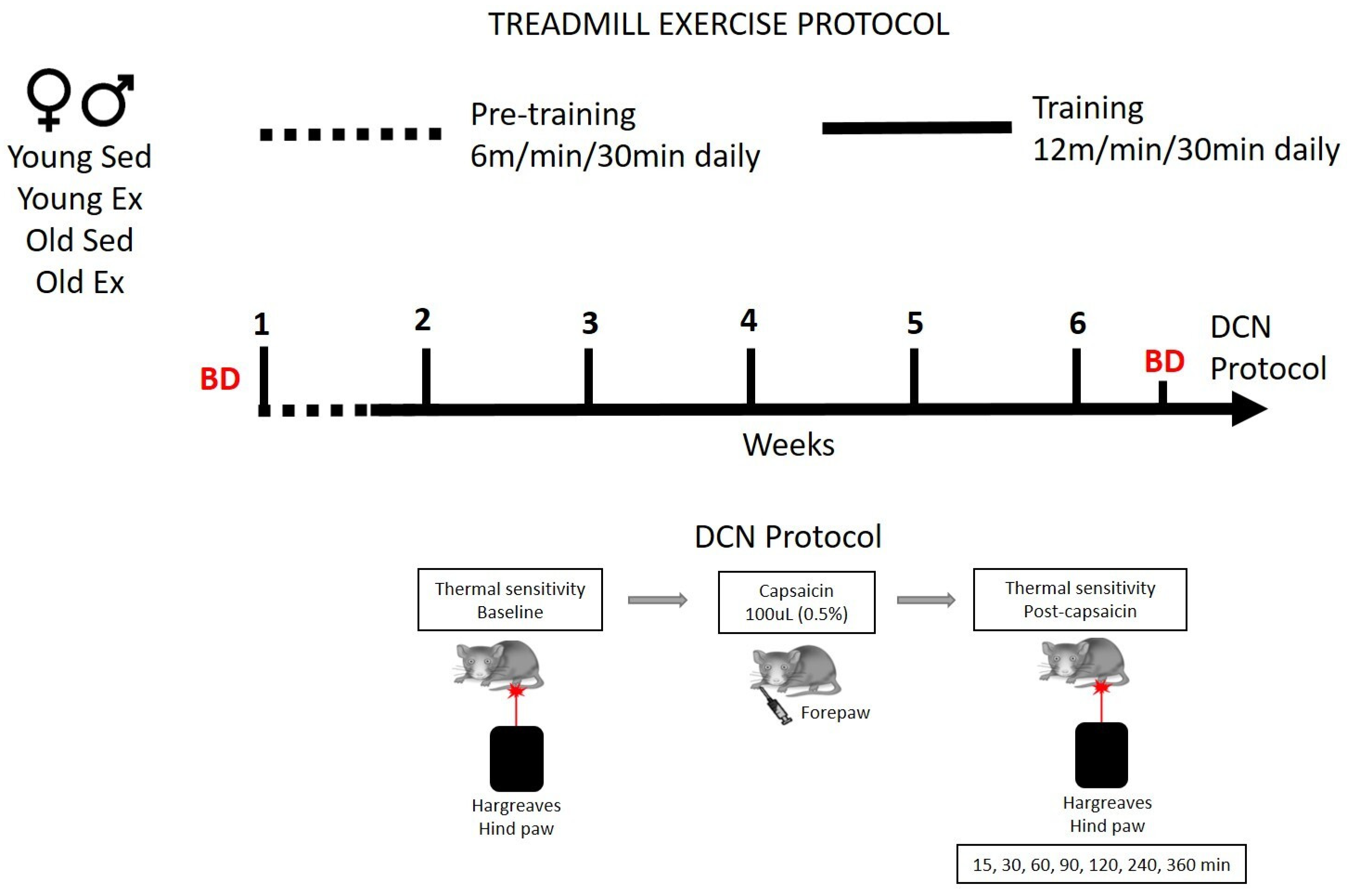 Biomedicines 12 01122 g001