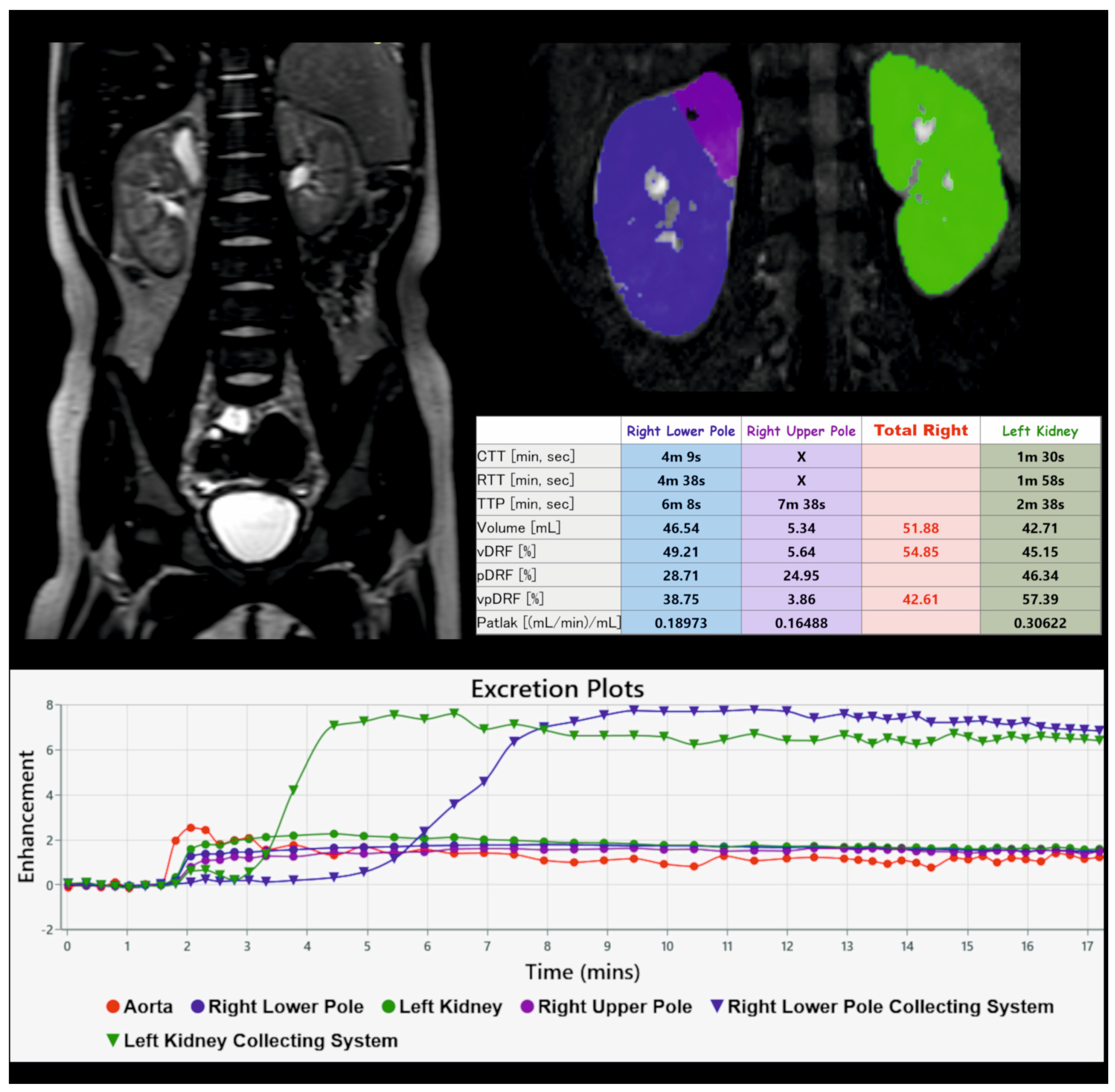 Biomedicines 12 01126 g001