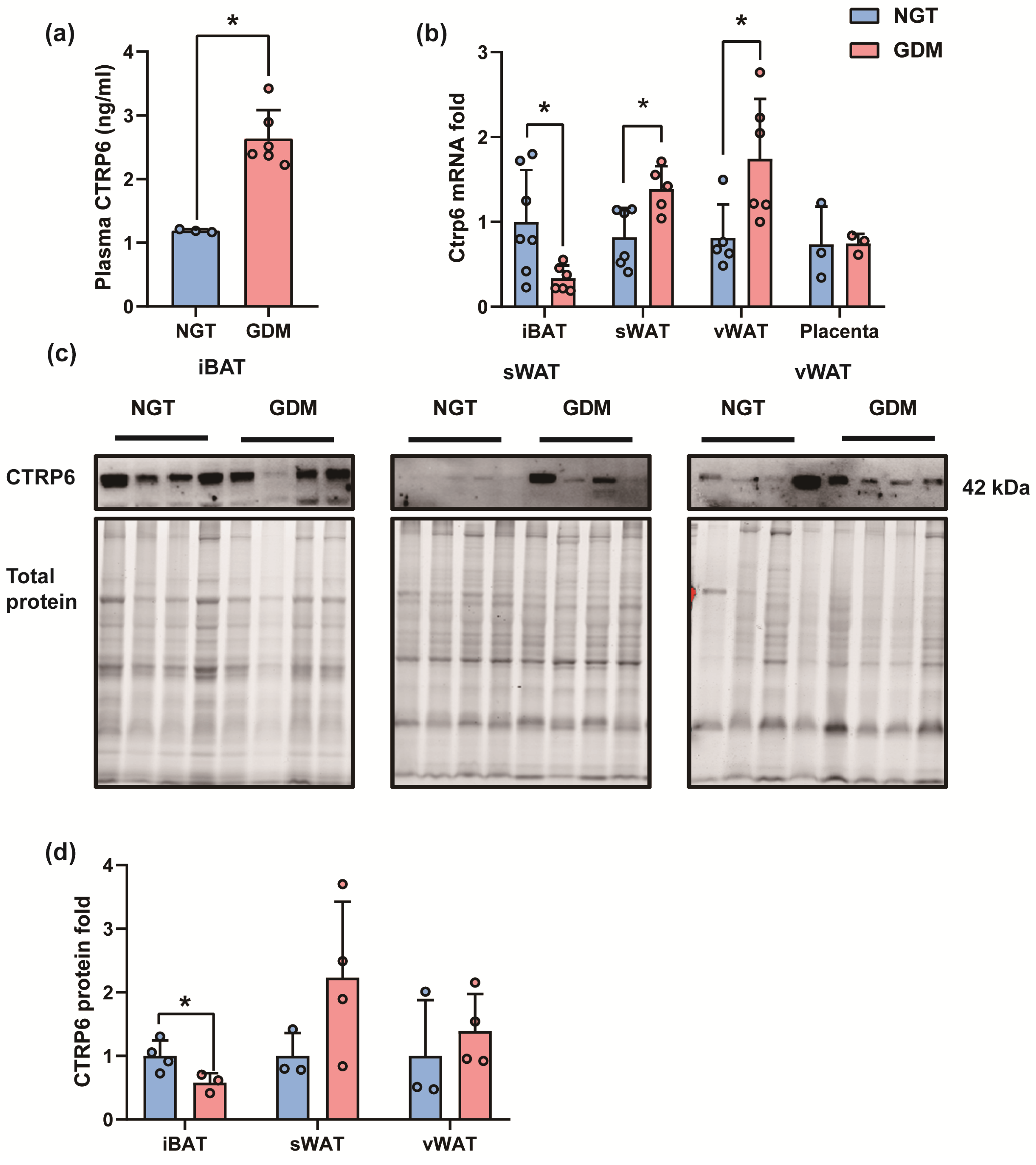 Biomedicines 12 01128 g005