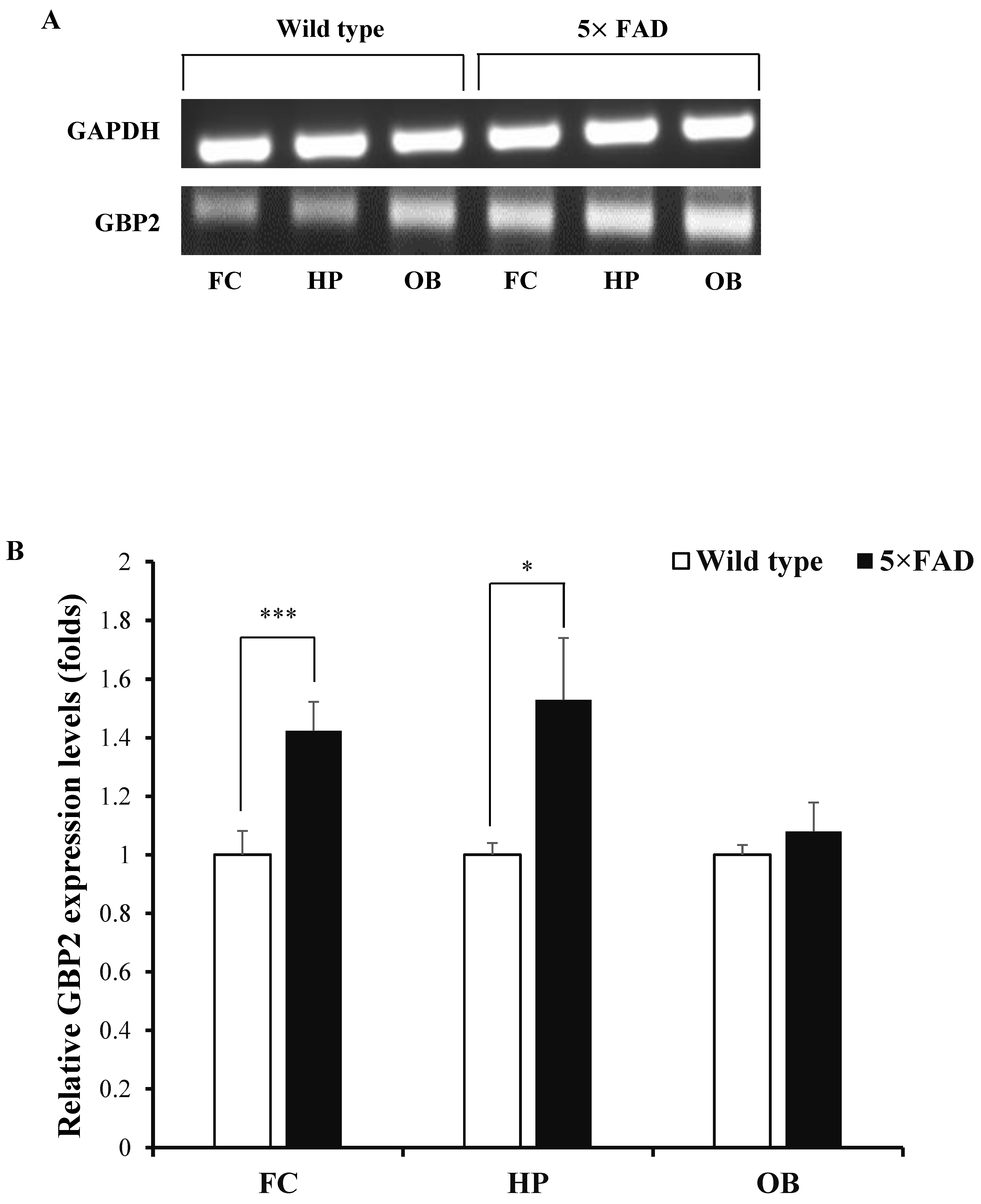 Biomedicines 12 01130 g001