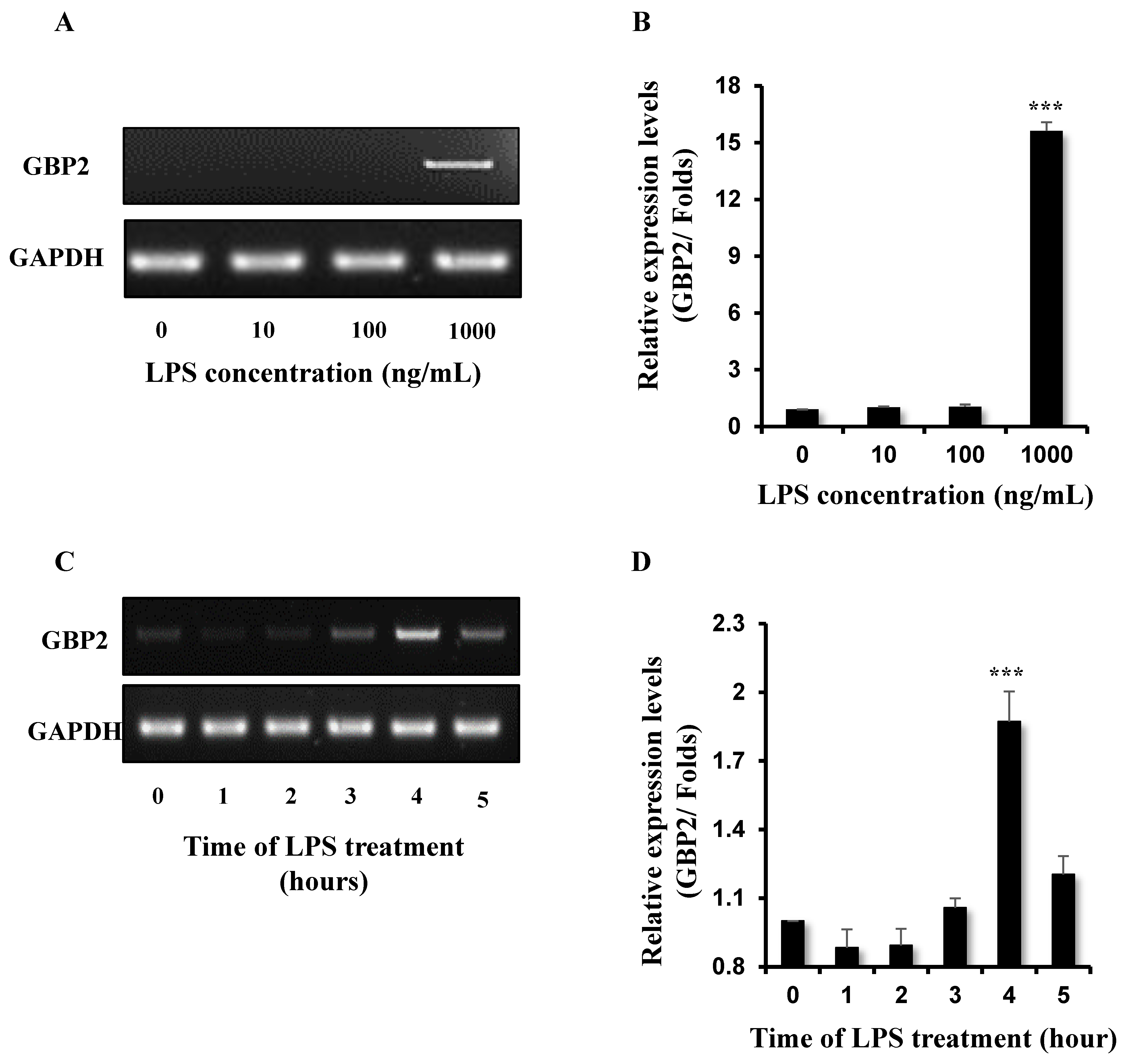 Biomedicines 12 01130 g002