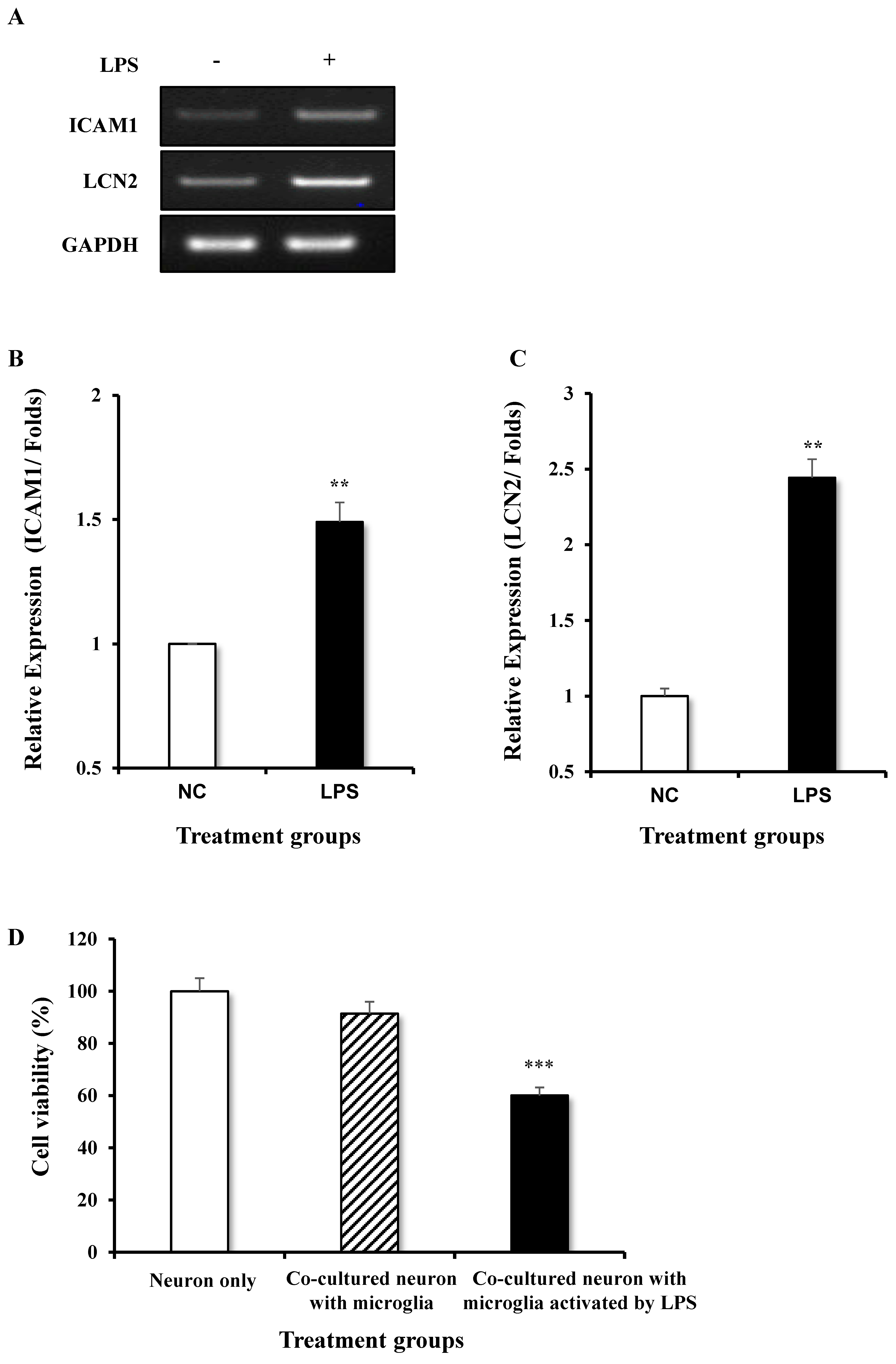 Biomedicines 12 01130 g003
