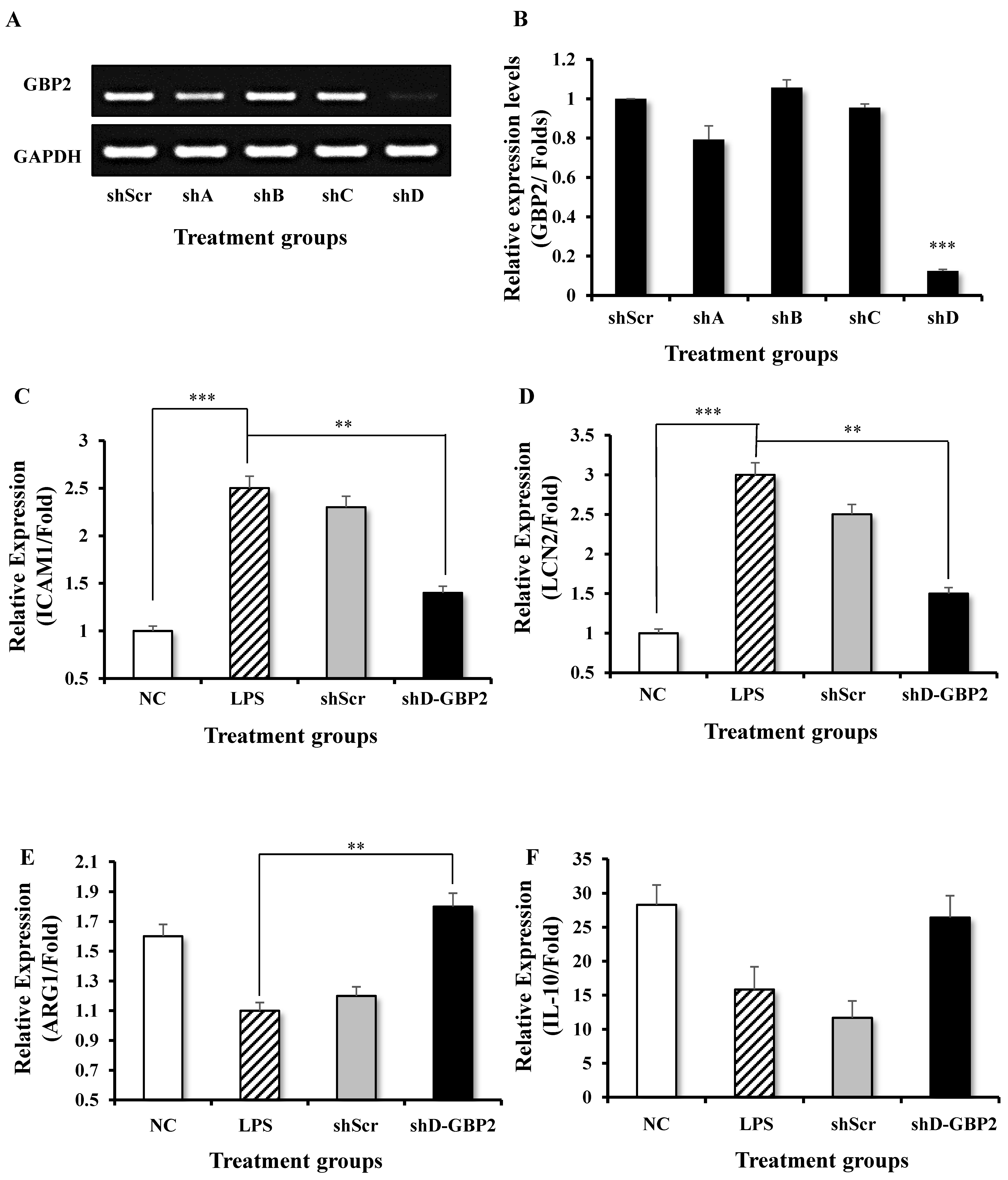 Biomedicines 12 01130 g004